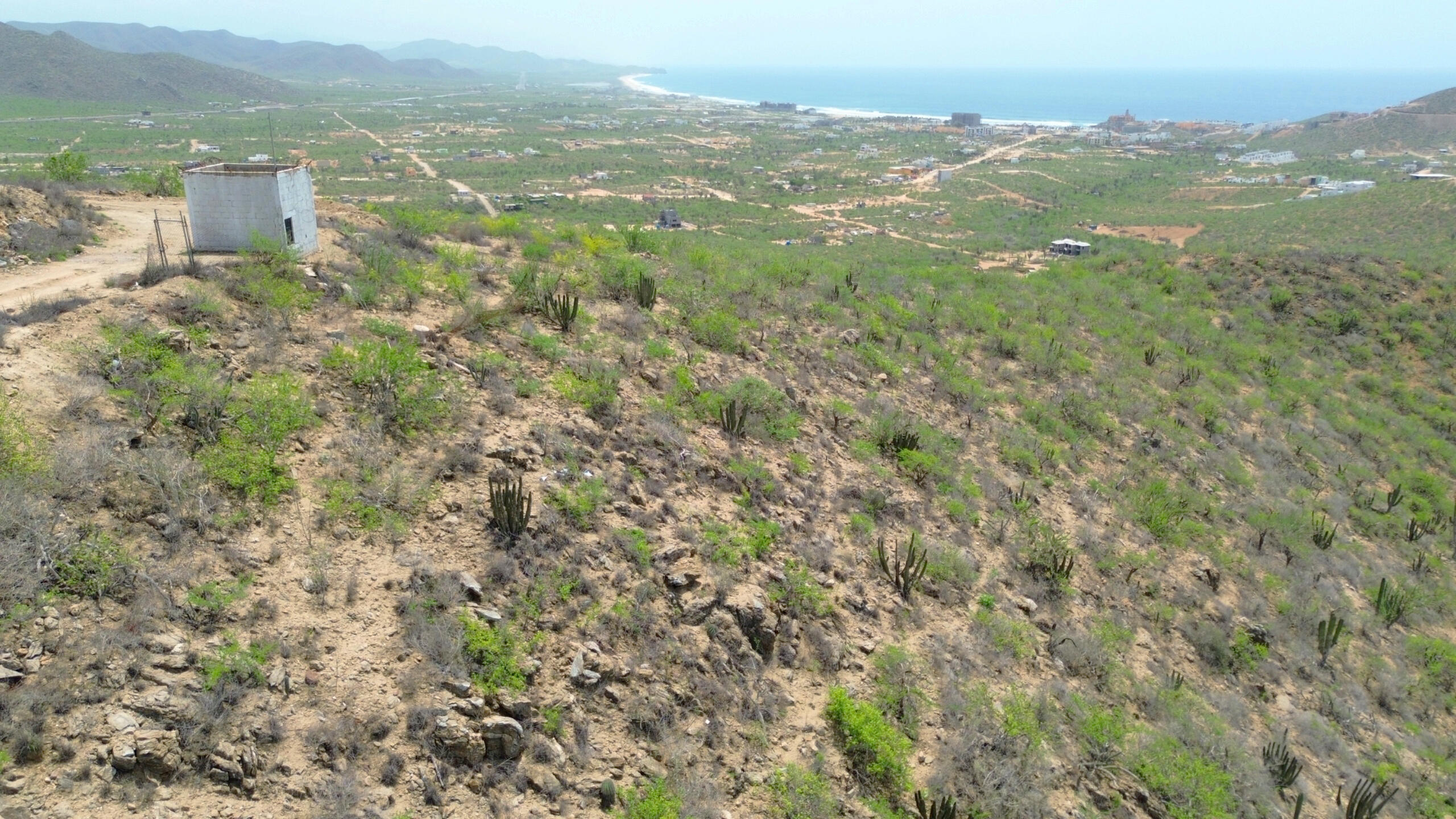 MLS #25-4177 image #14