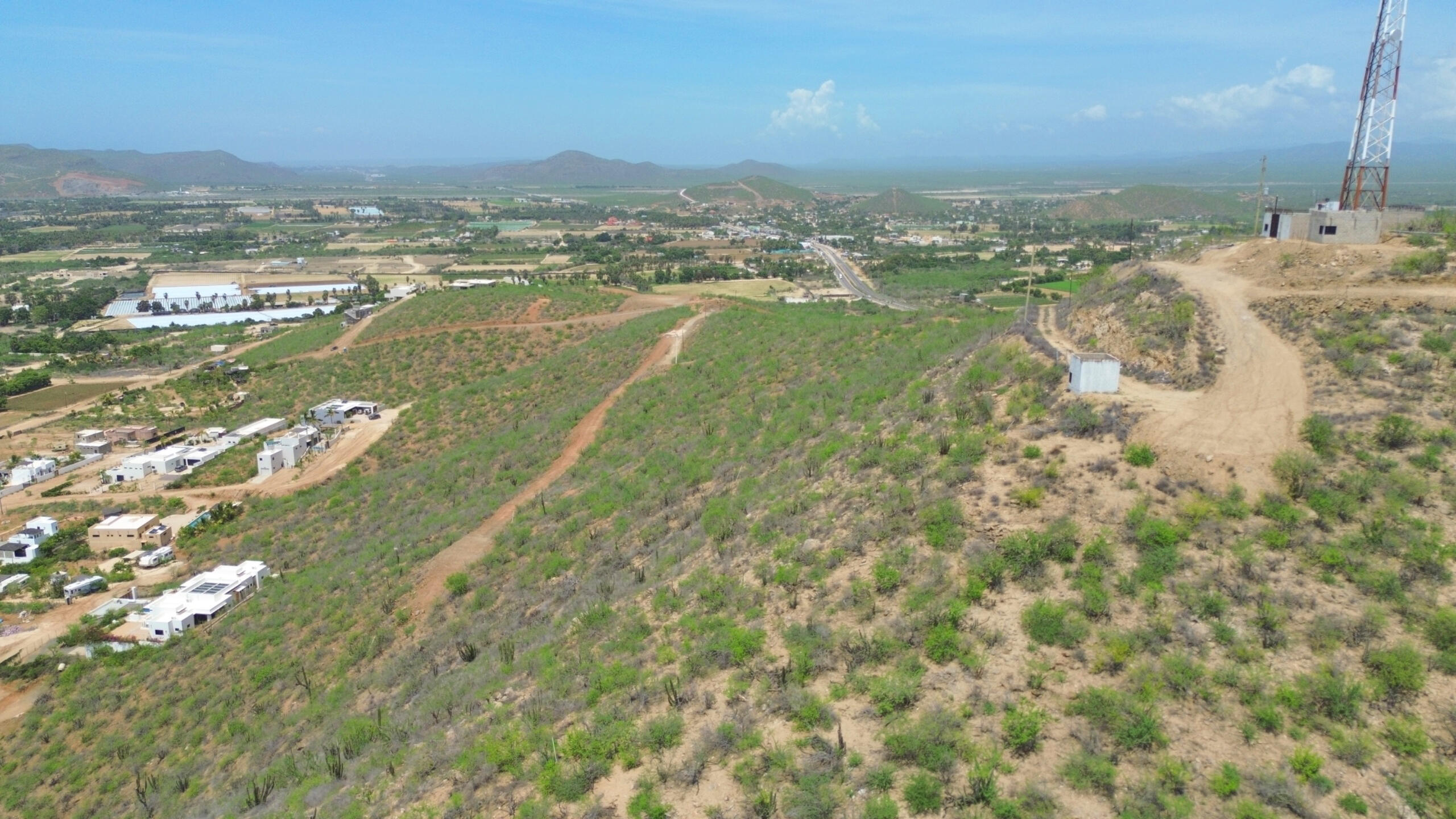 MLS #25-4177 image #3