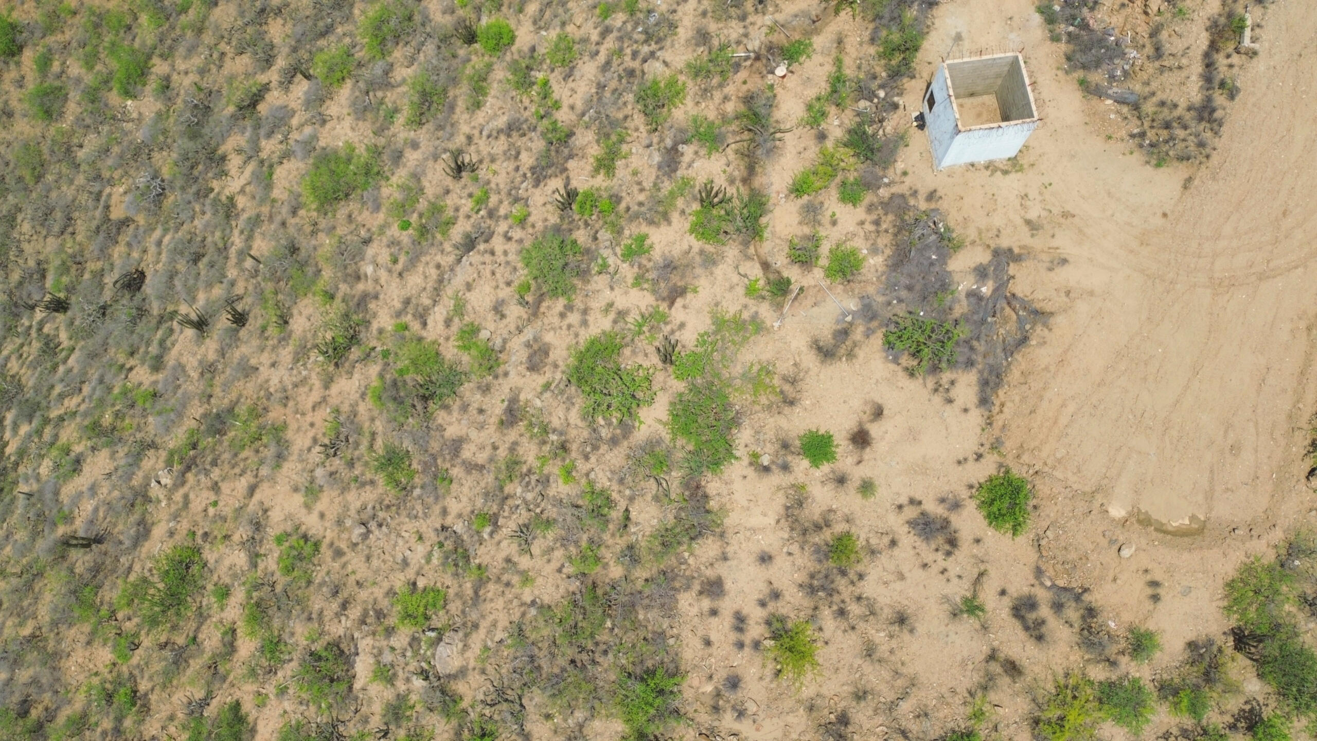 MLS #25-4177 image #8