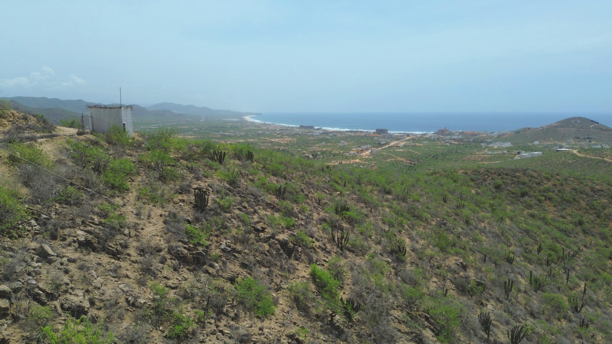 MLS #25-4177 image #9