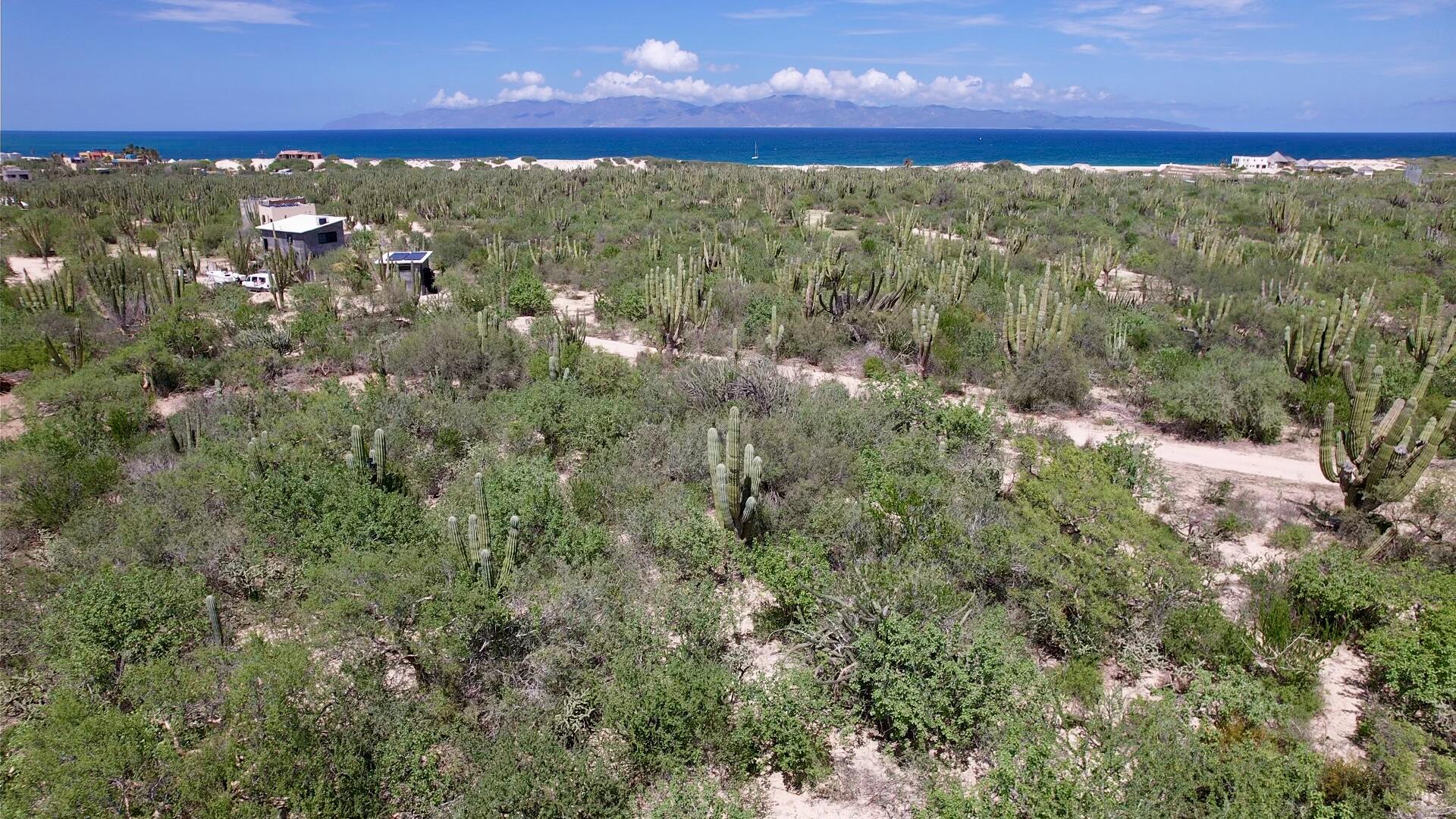 MLS #25-4185 image #1