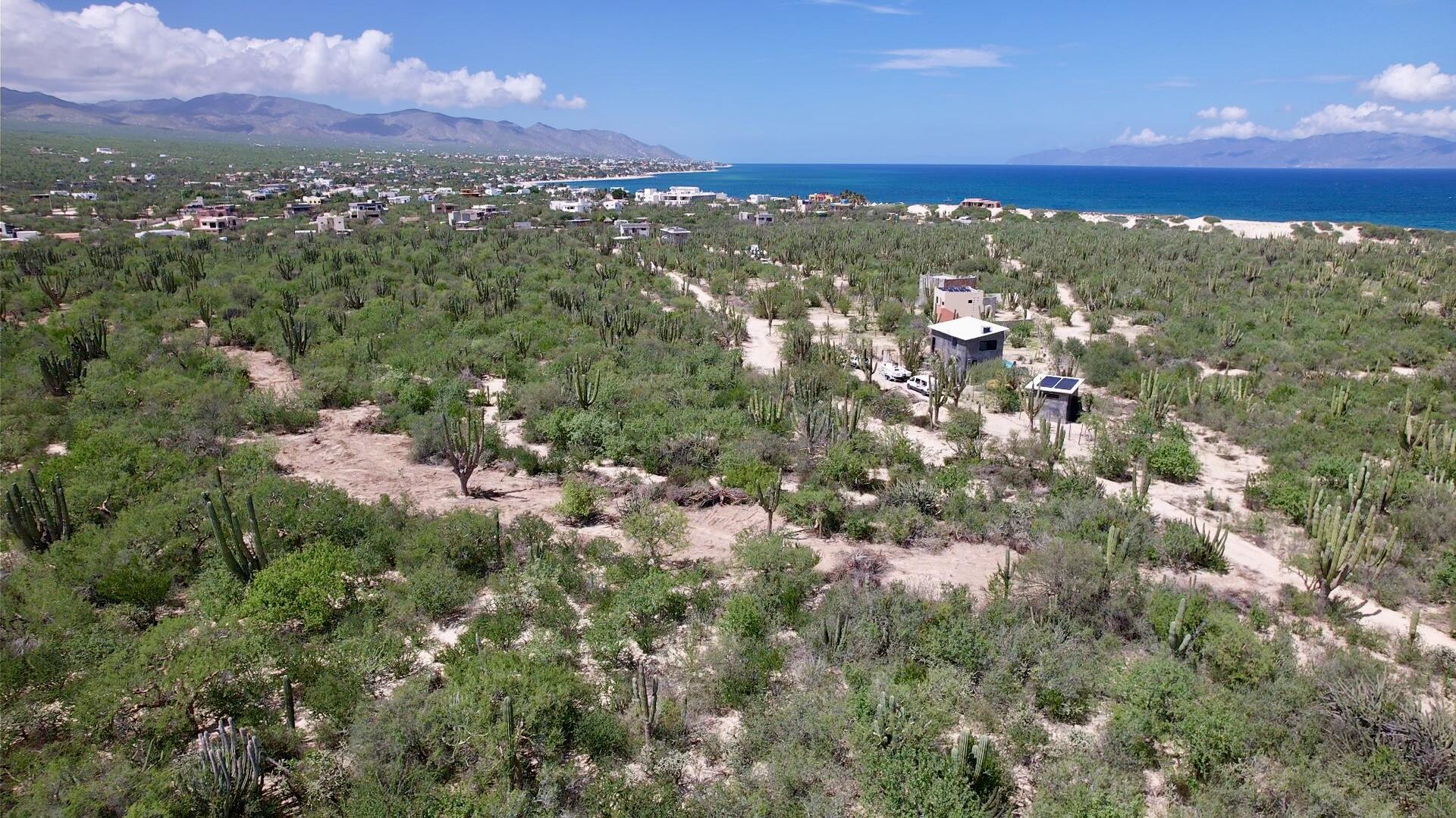 MLS #25-4185 image #2