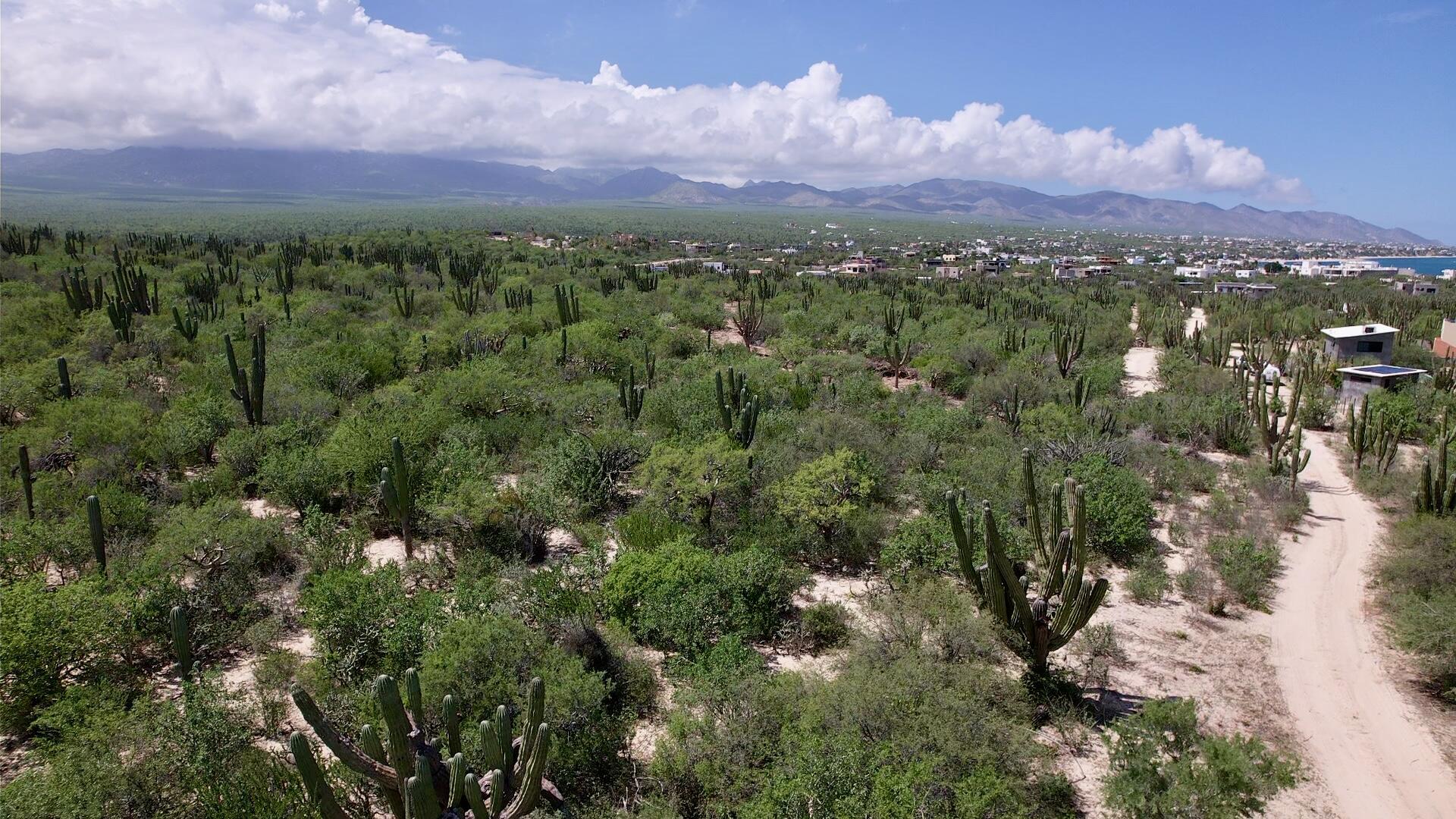 MLS #25-4185 image #3