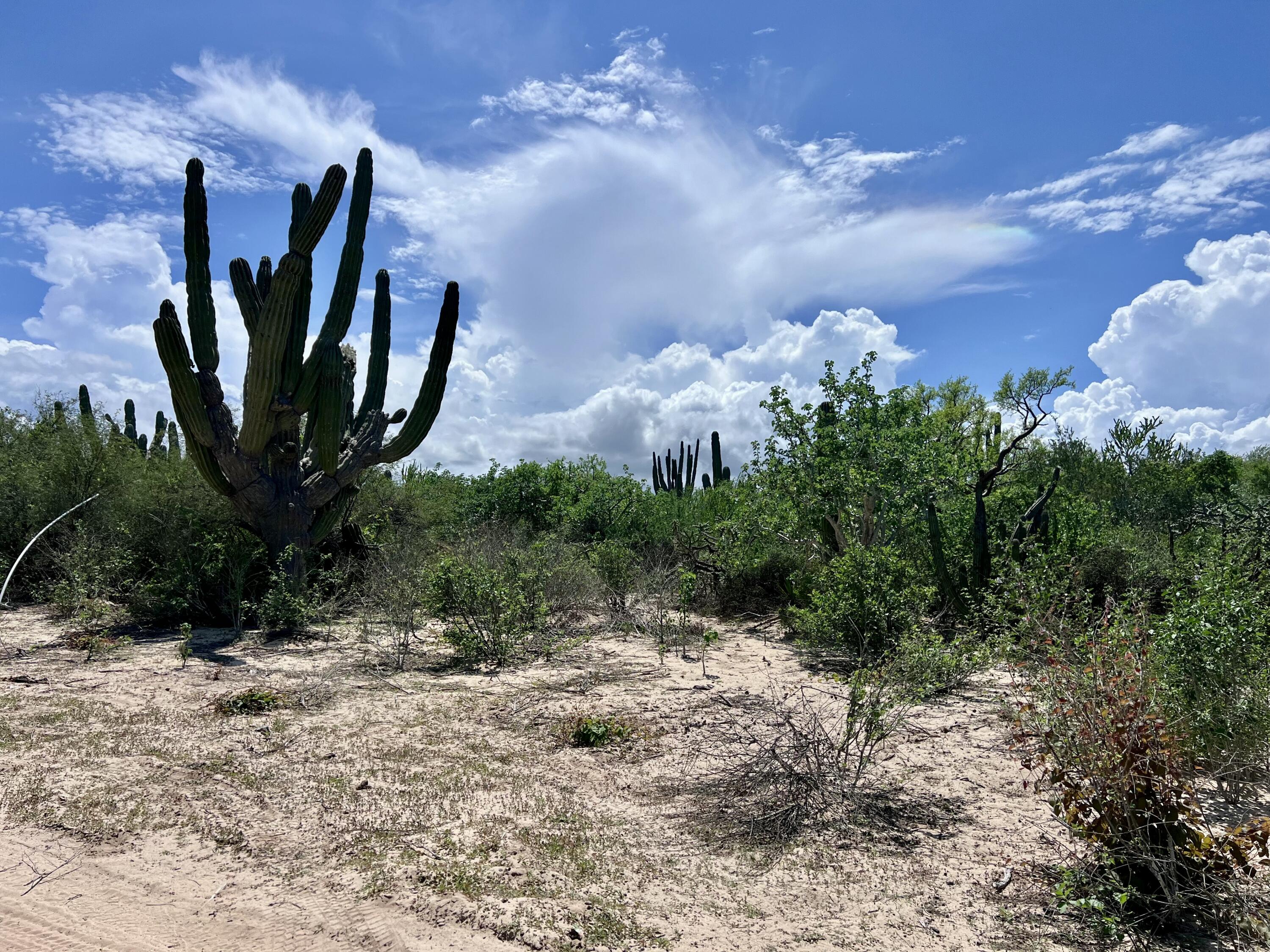 MLS #25-4185 image #6