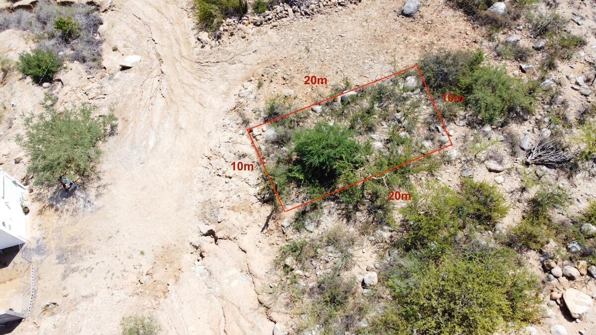 MLS #25-4199 image #1