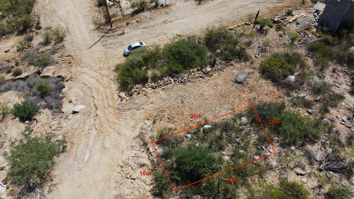 MLS #25-4199 image #2