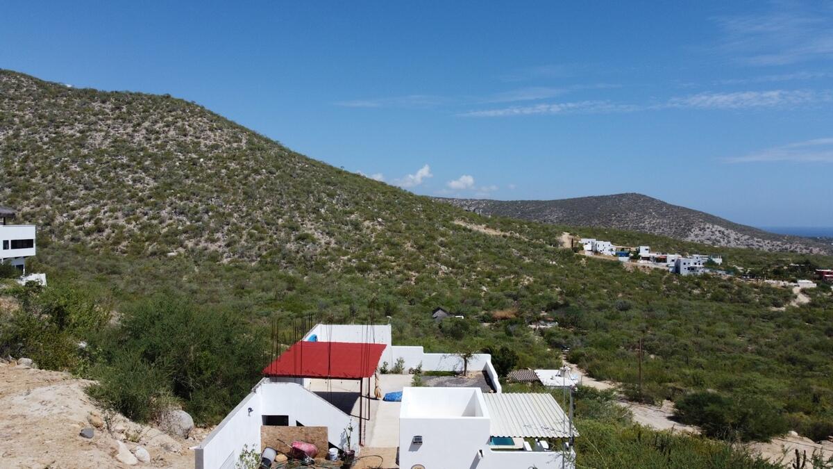 MLS #25-4199 image #3