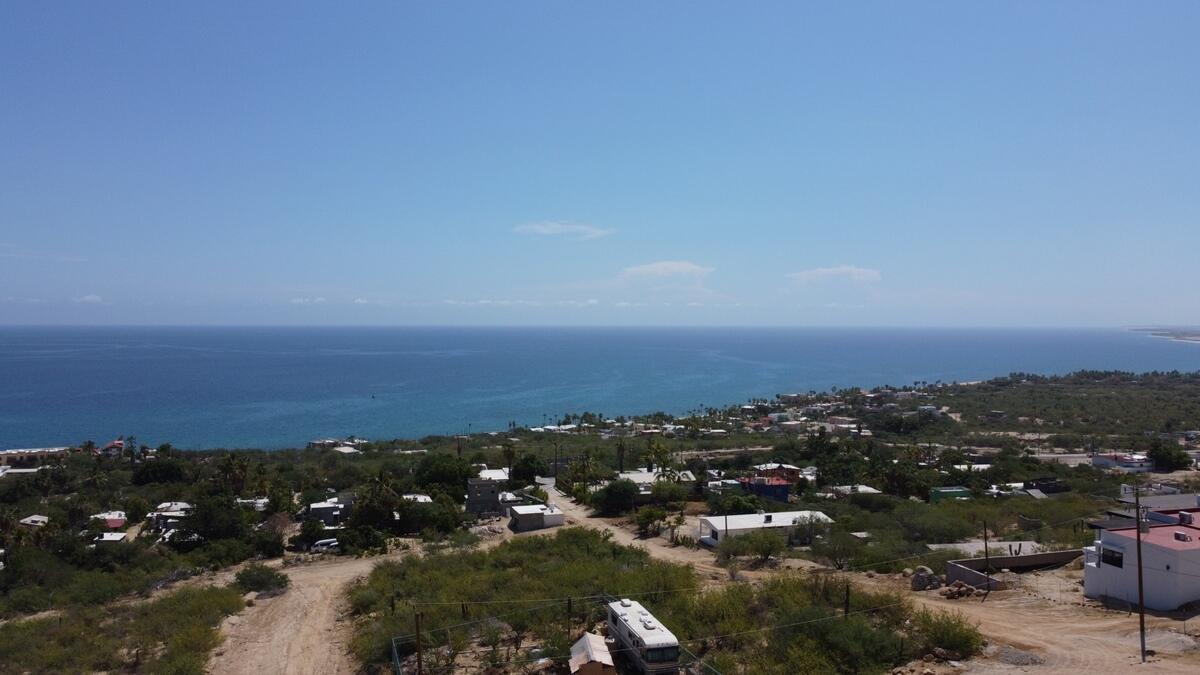 MLS #25-4199 image #6