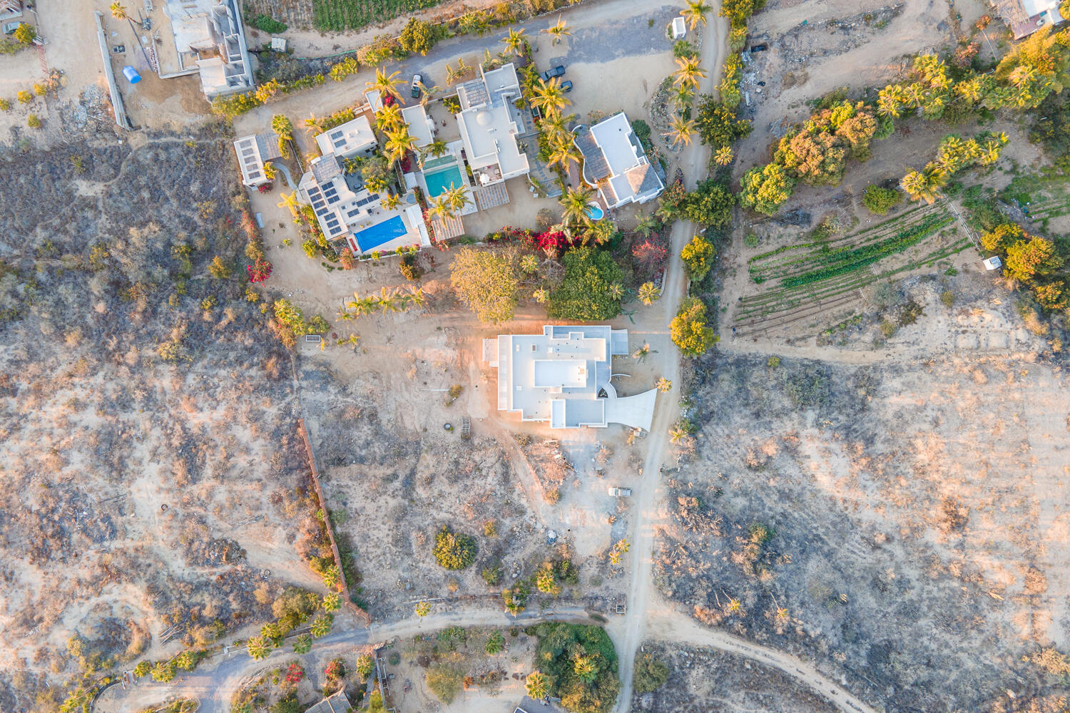 MLS #25-4203 image #7