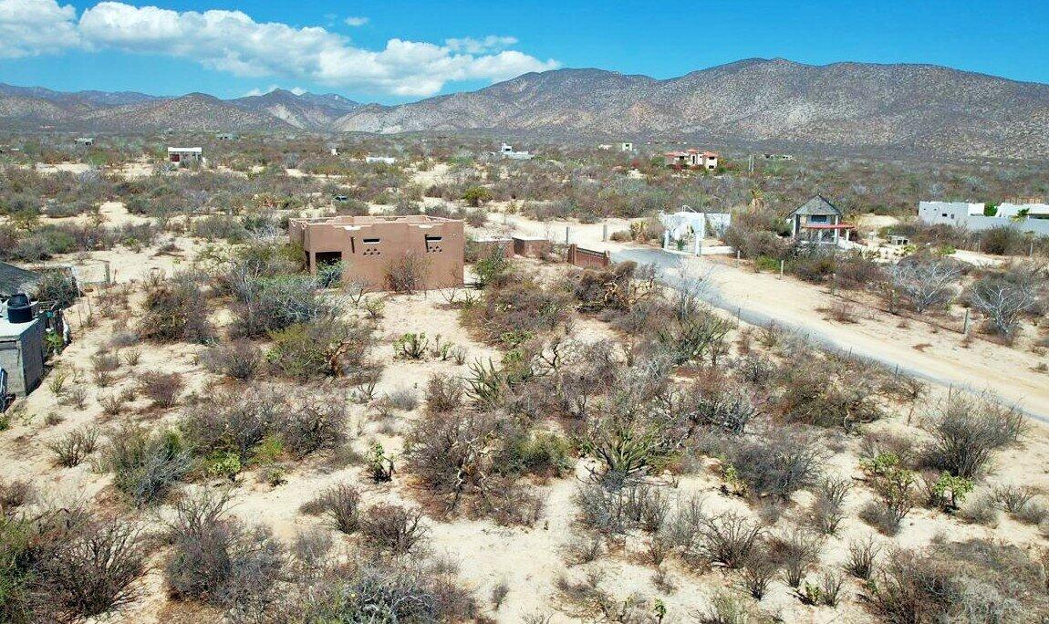 MLS #25-4220 image #14