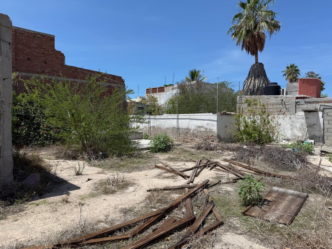 MLS #25-4230 image #2