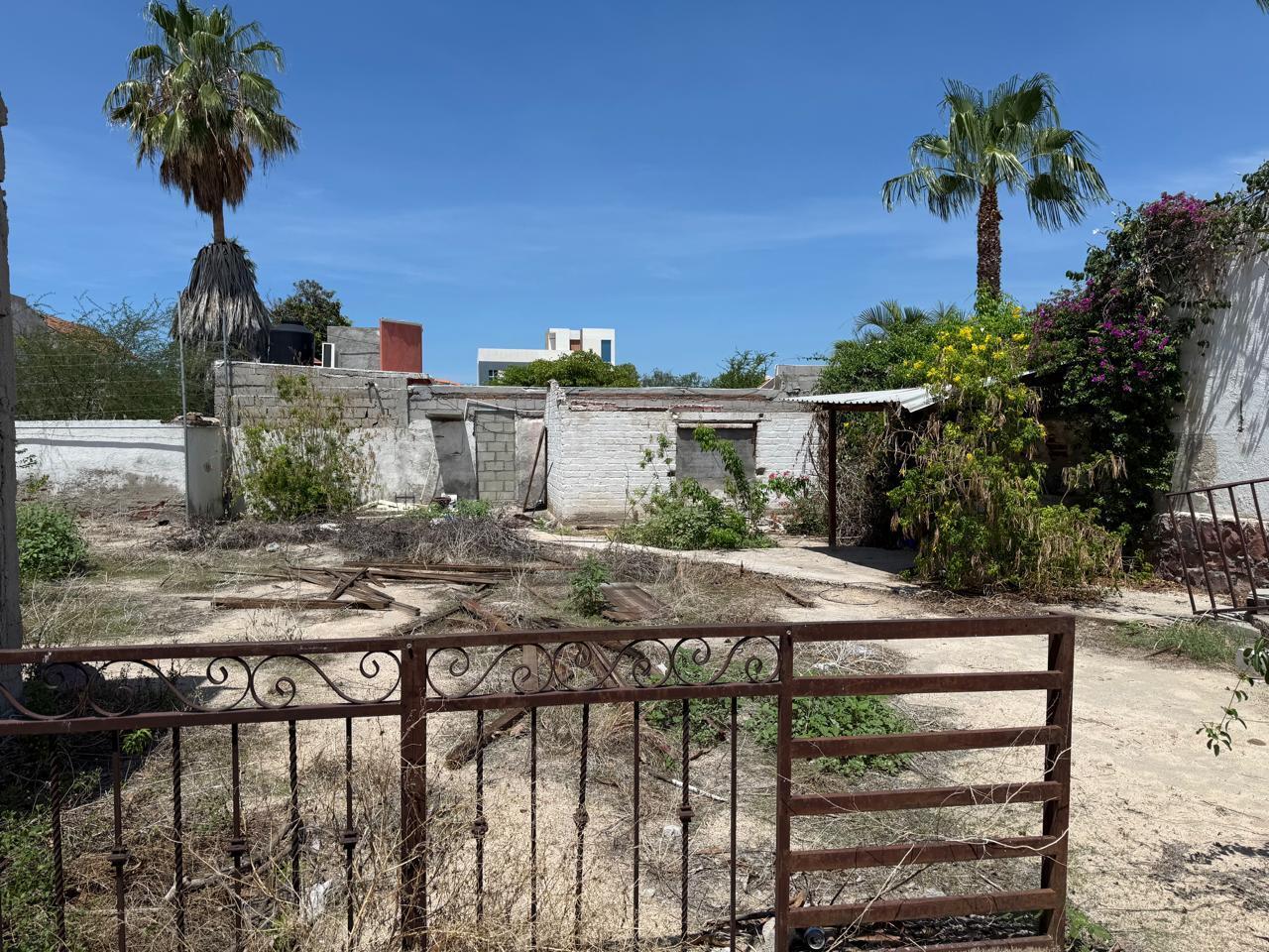 MLS #25-4230 image #3