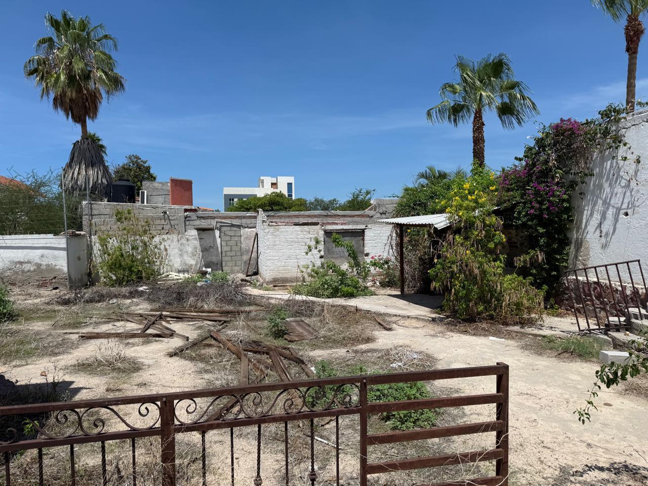 MLS #25-4230 image #4