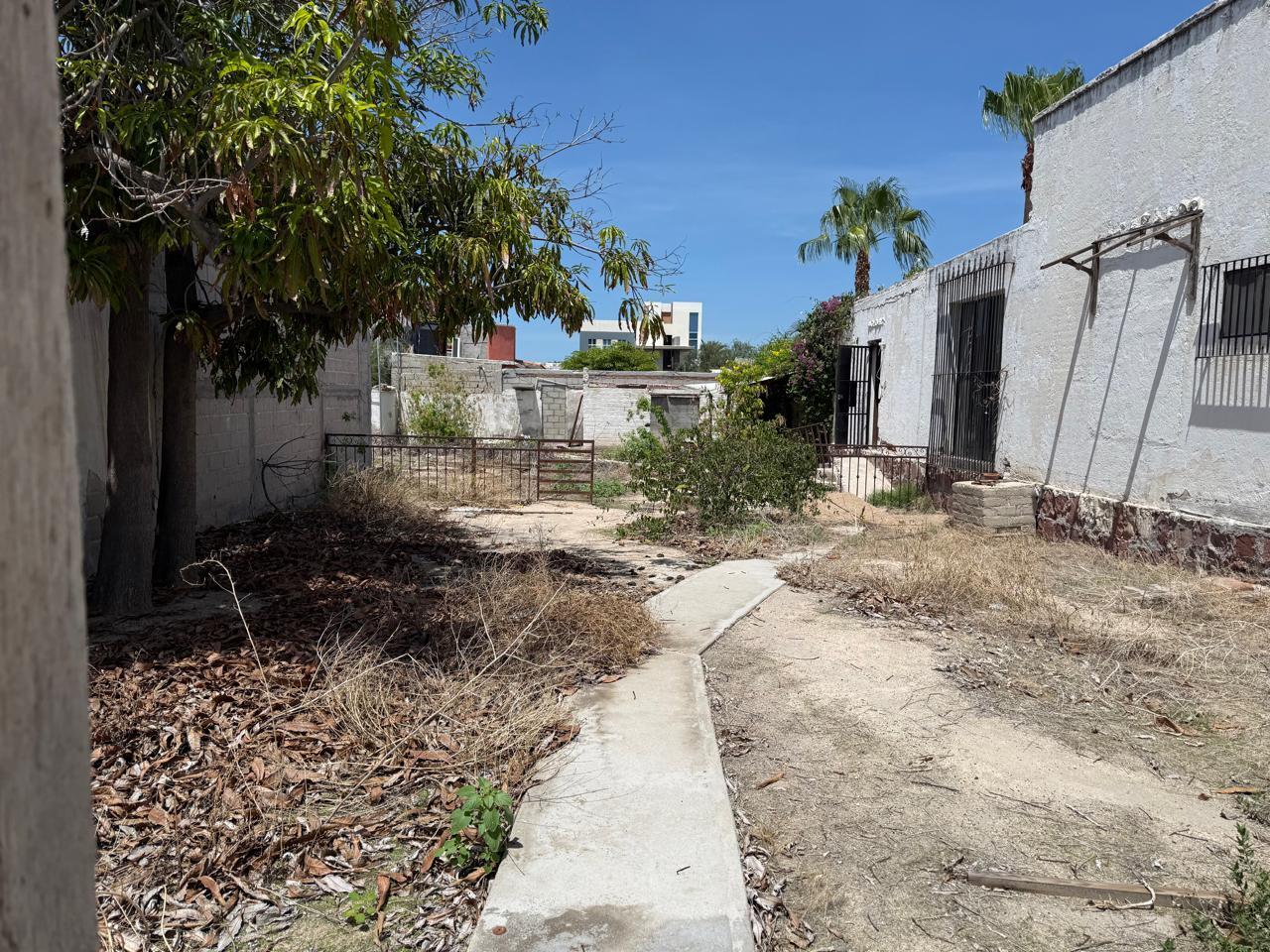 MLS #25-4230 image #5