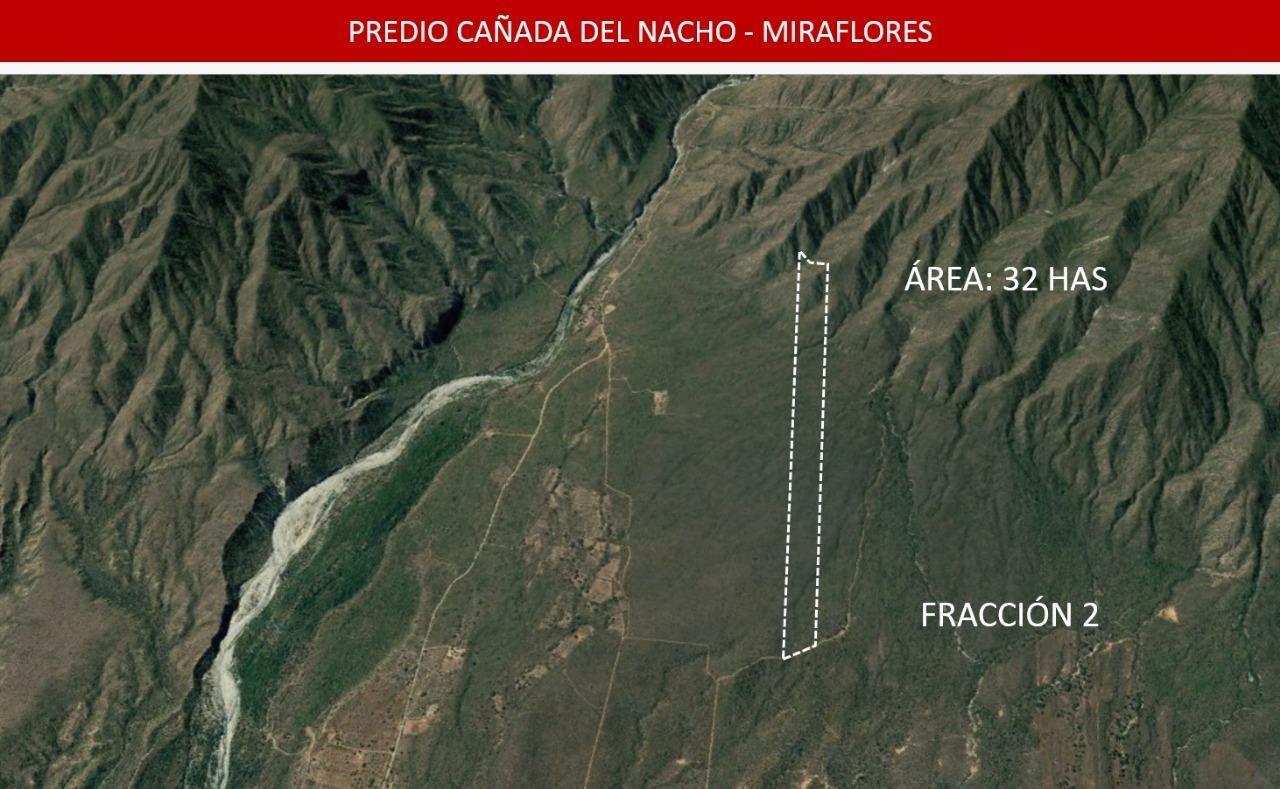 MLS #25-4231 image #11