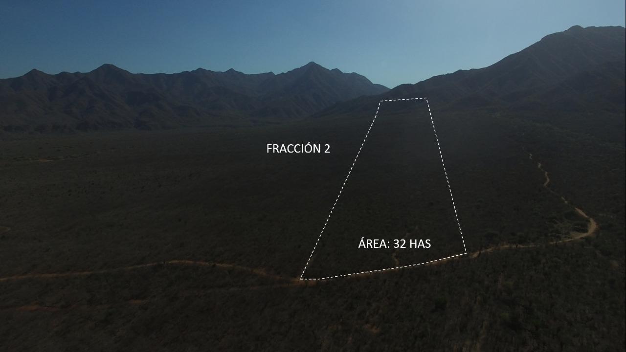 MLS #25-4231 image #12