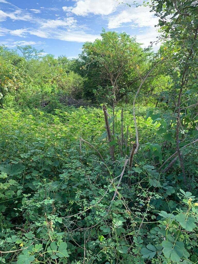 MLS #25-4231 image #13