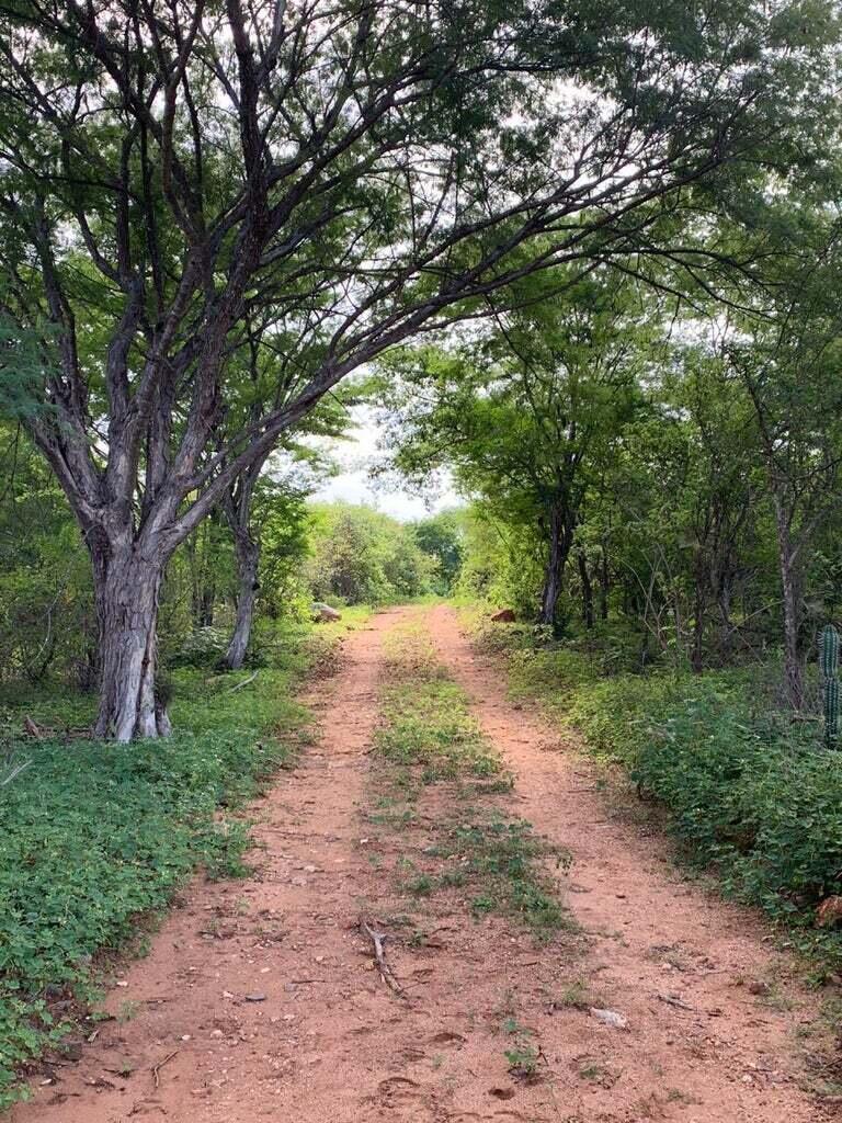 MLS #25-4231 image #15