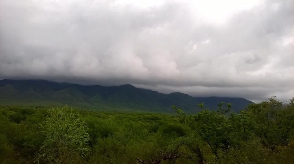 MLS #25-4231 image #16