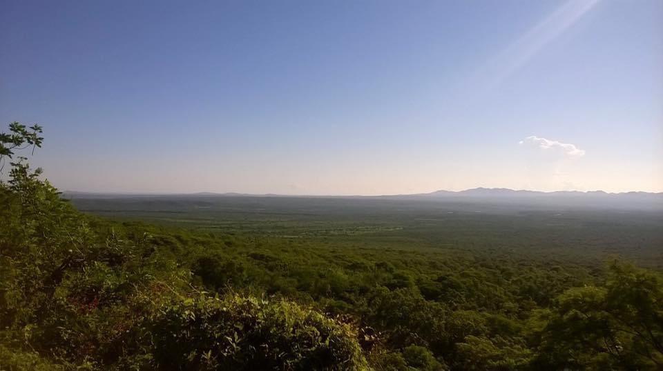 MLS #25-4231 image #17