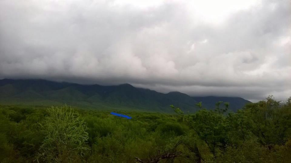 MLS #25-4231 image #18