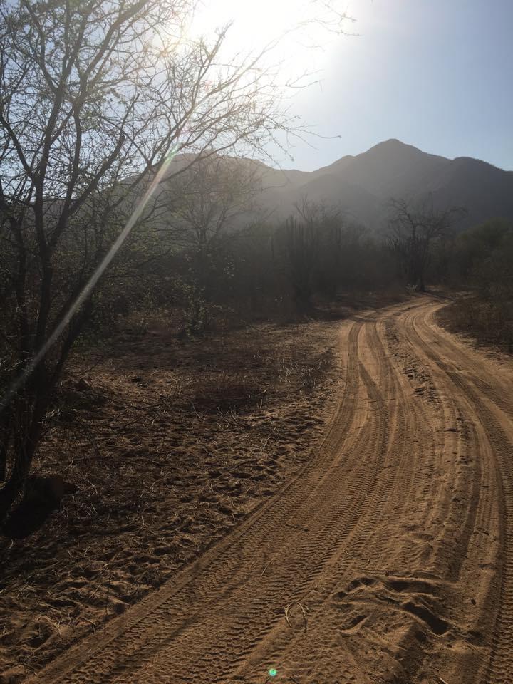 MLS #25-4231 image #19