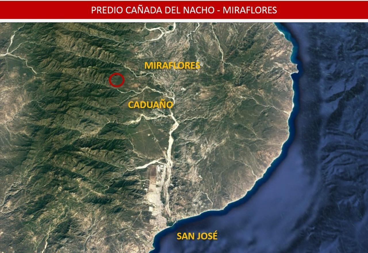 MLS #25-4231 image #2