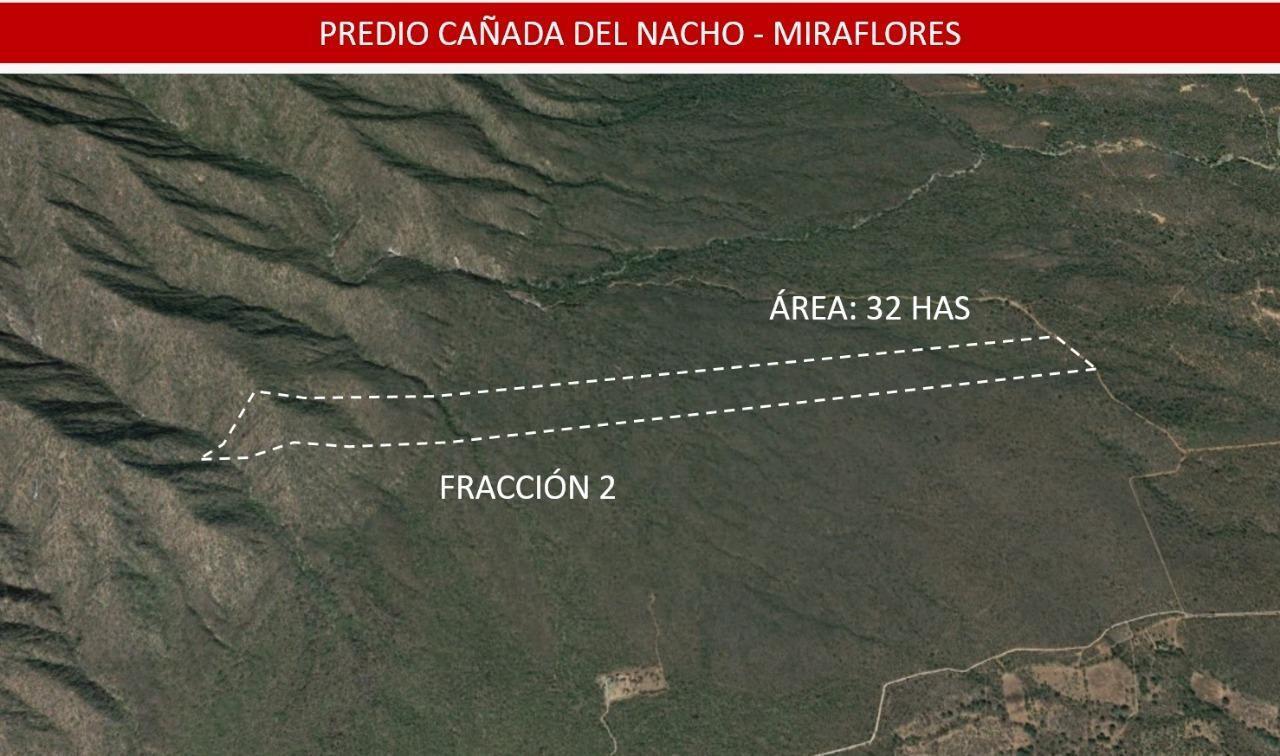 MLS #25-4231 image #3