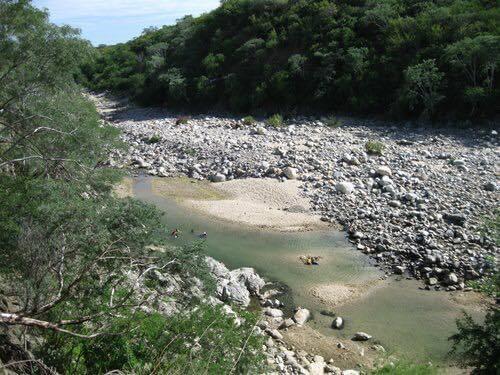 MLS #25-4231 image #5