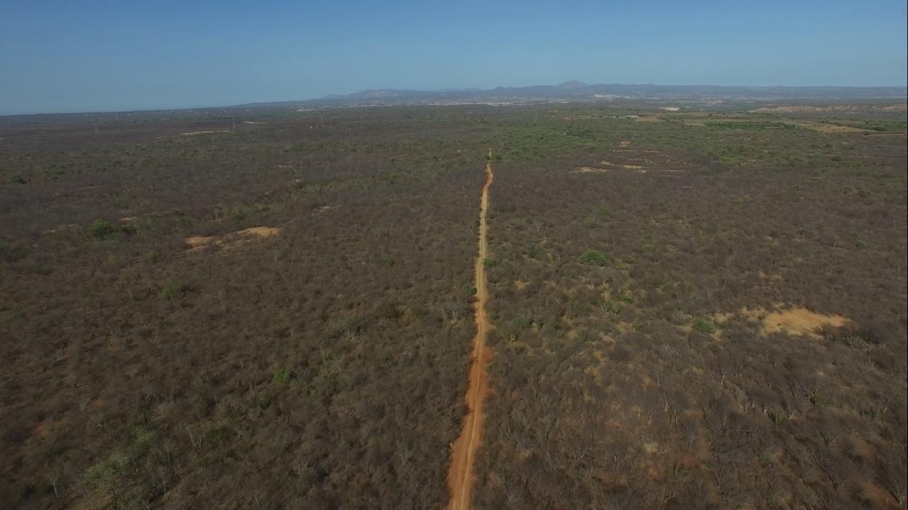 MLS #25-4231 image #6