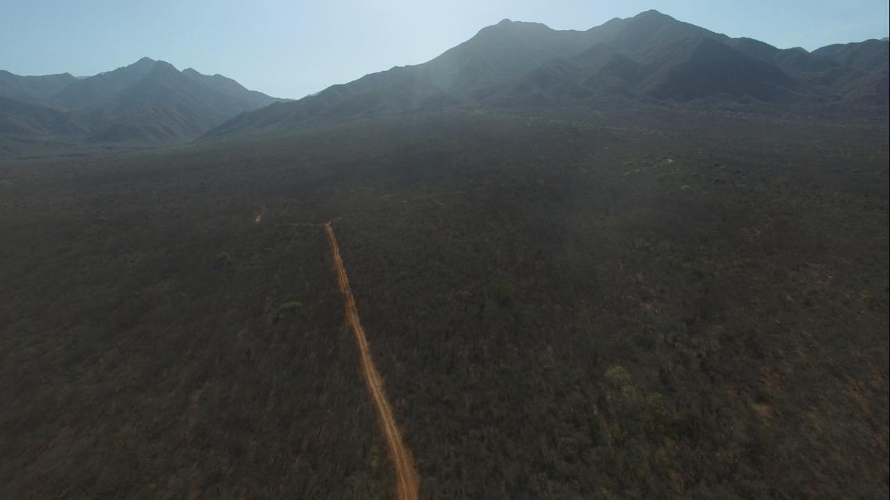 MLS #25-4231 image #9