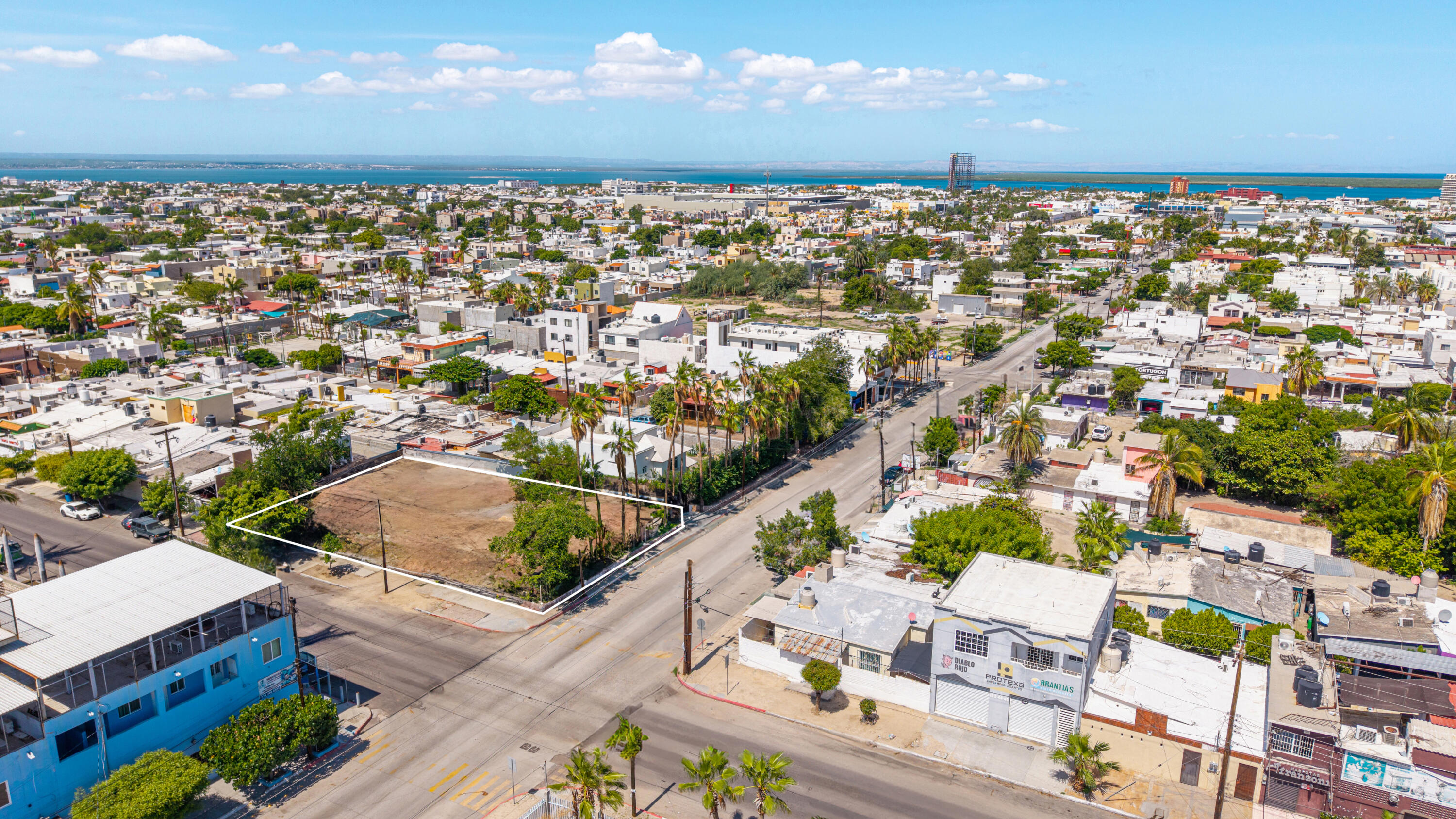 MLS #25-4257 image #3