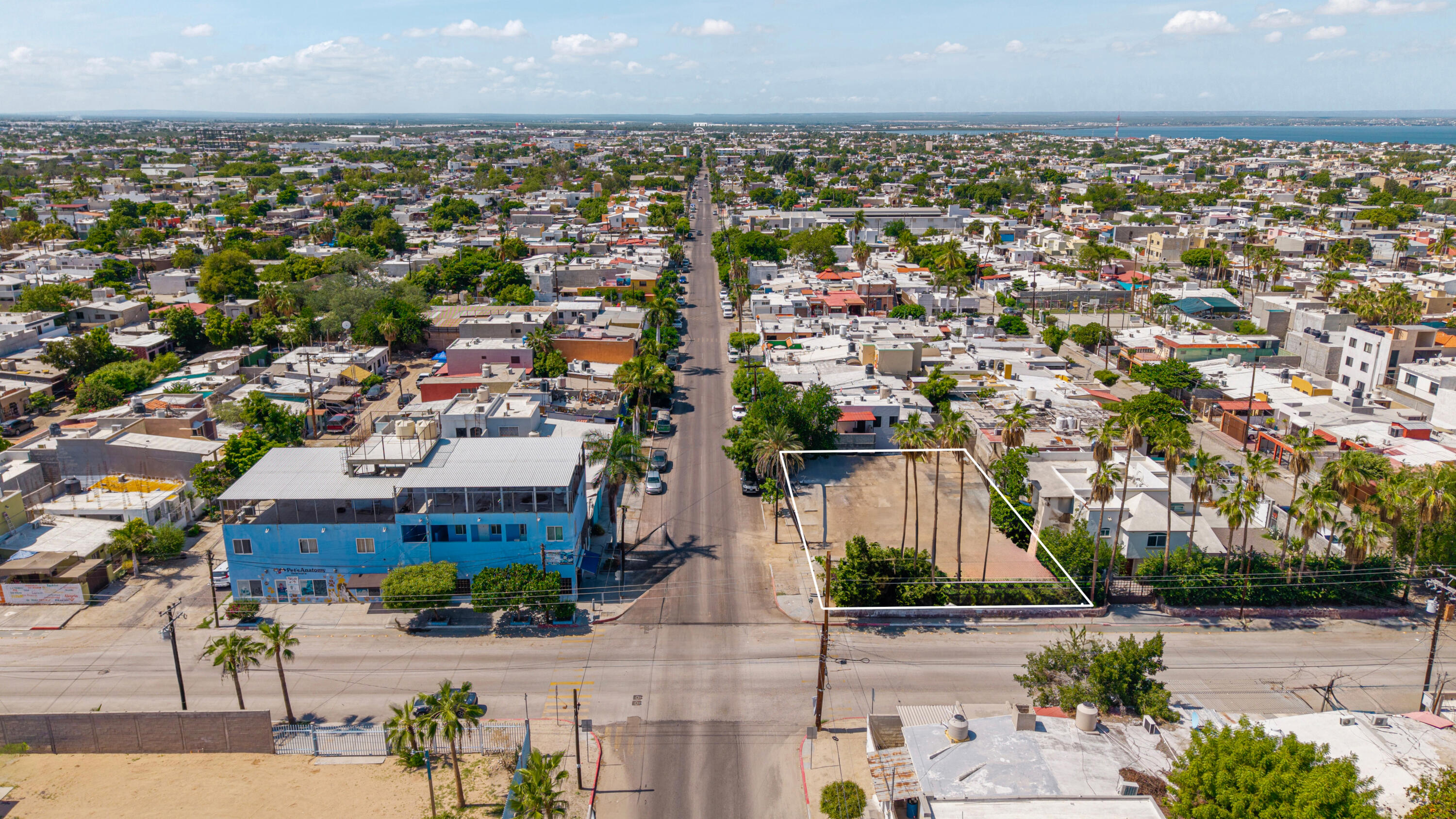 MLS #25-4257 image #4