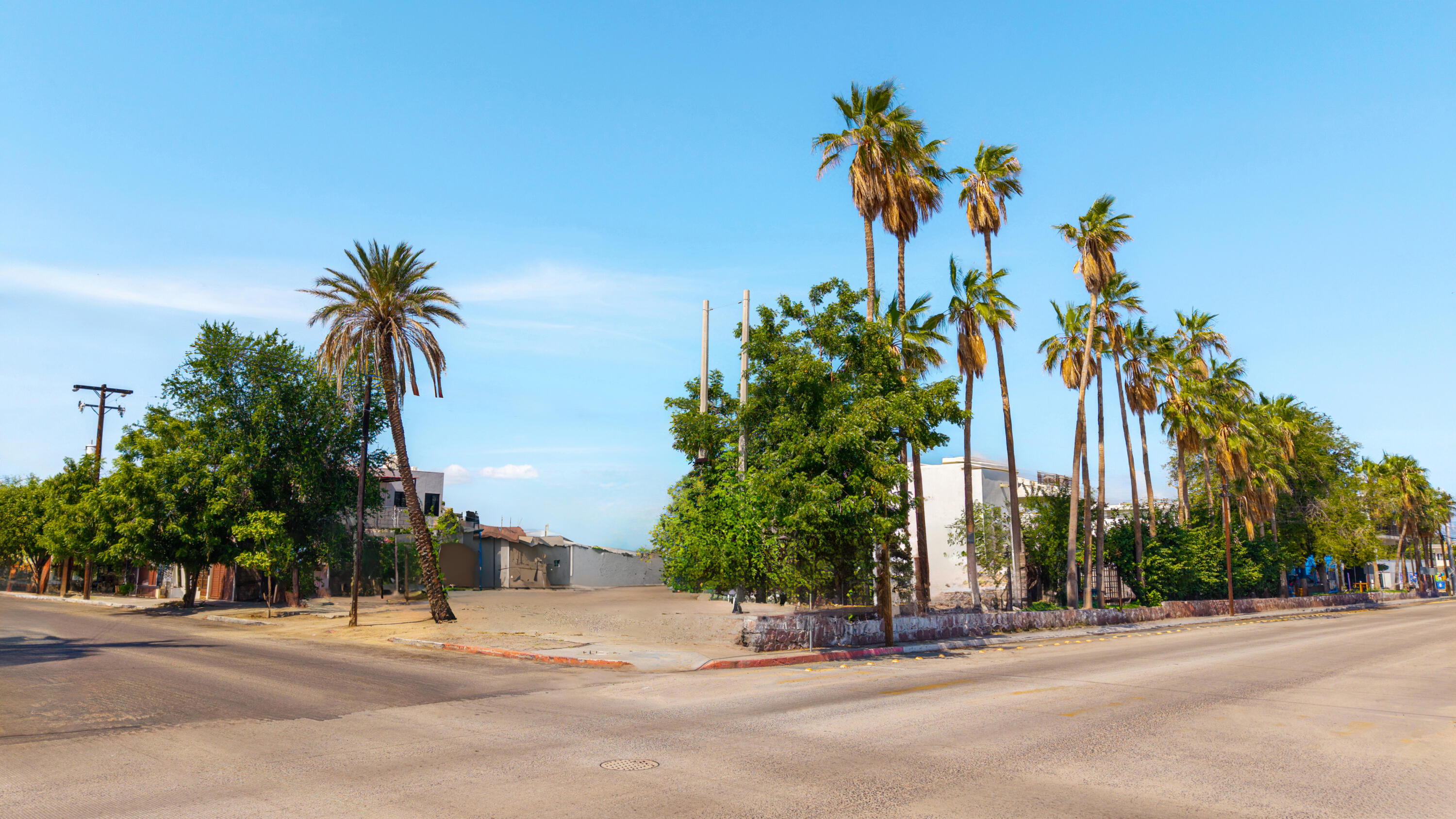 MLS #25-4257 image #6