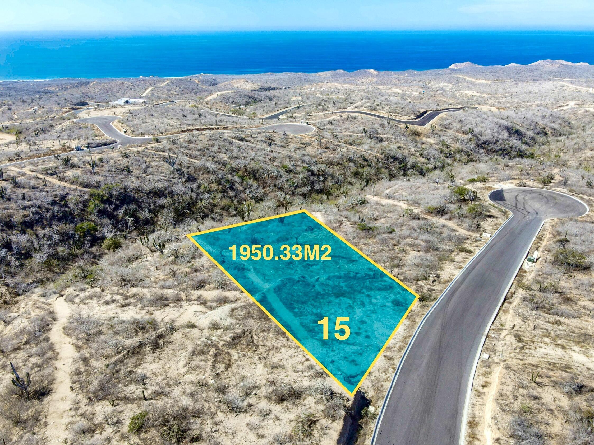 MLS #25-428 image #2