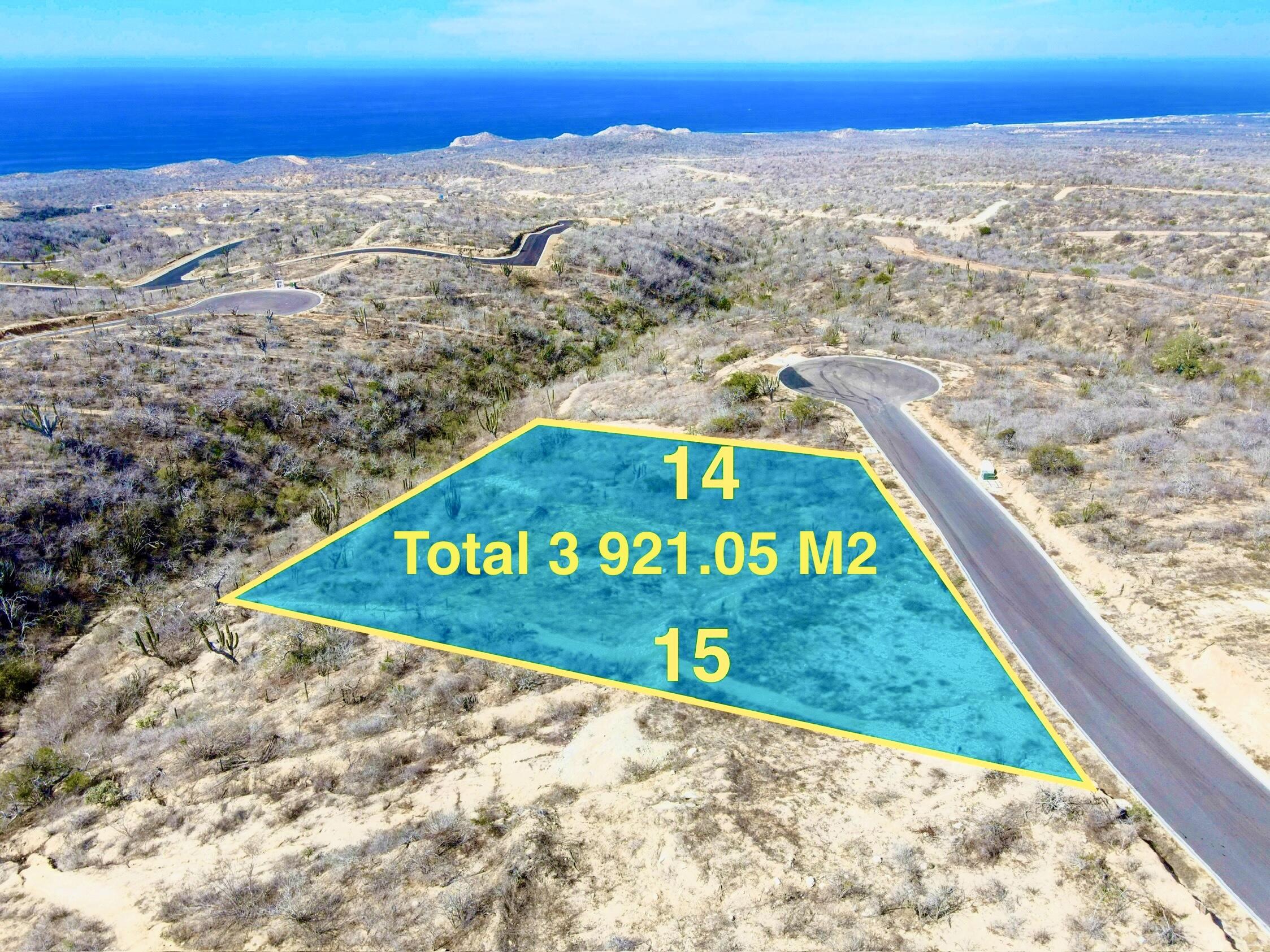 MLS #25-428 image #4