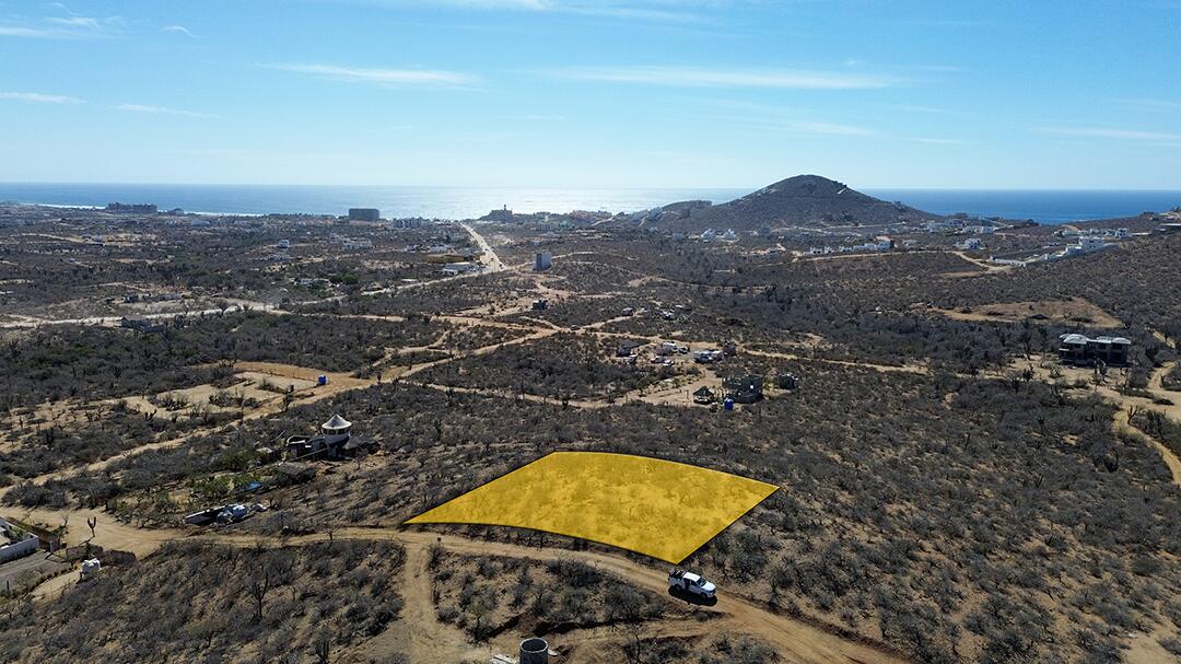 MLS #25-439 image #3