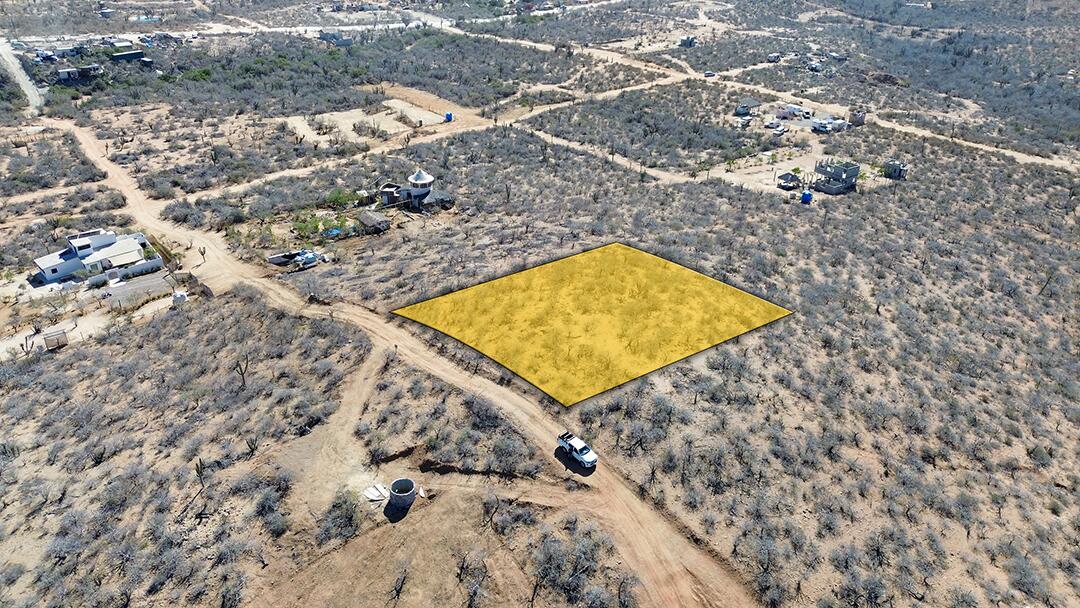 MLS #25-439 image #4