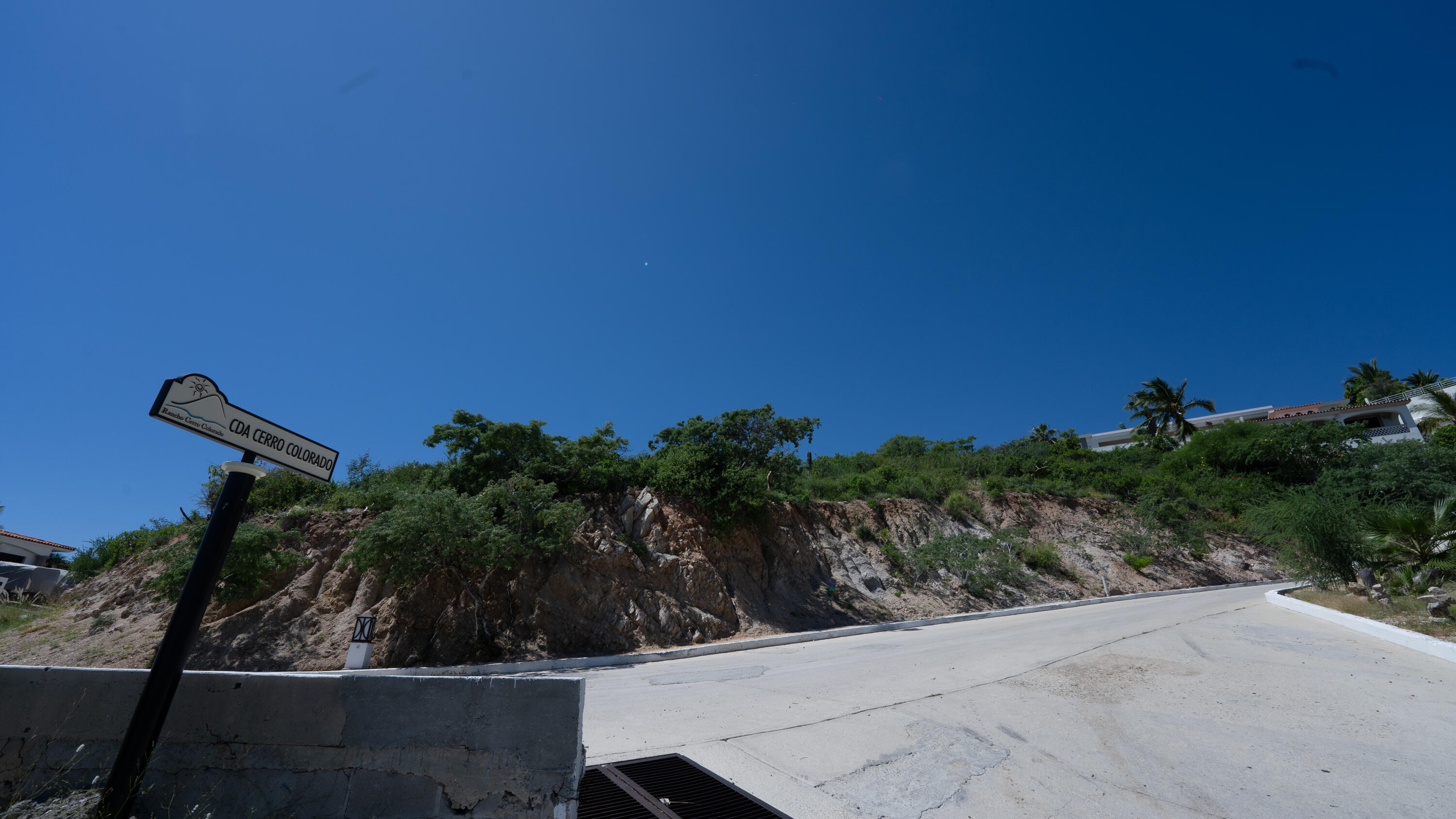 MLS #25-4401 image #10