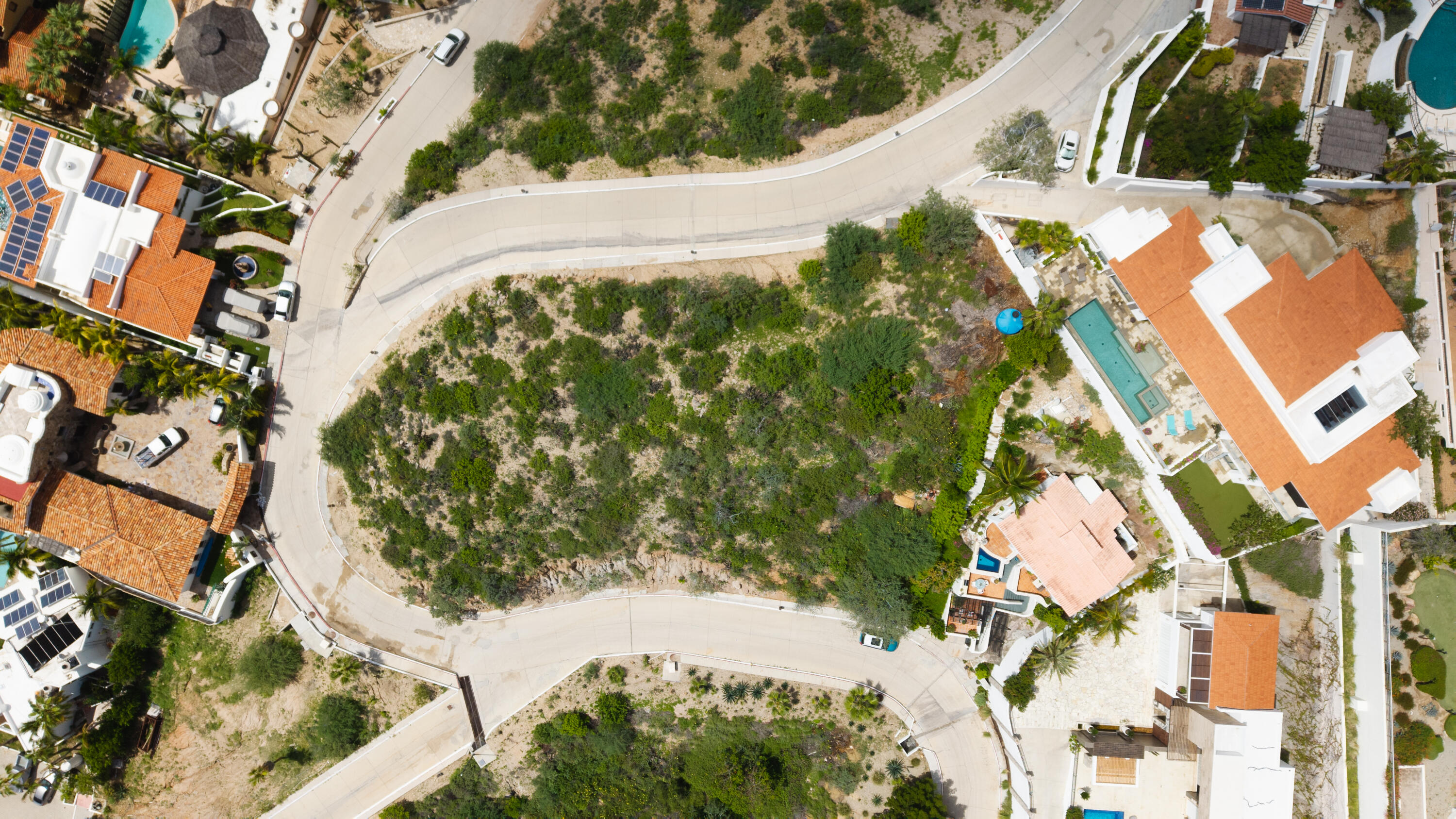 MLS #25-4401 image #7