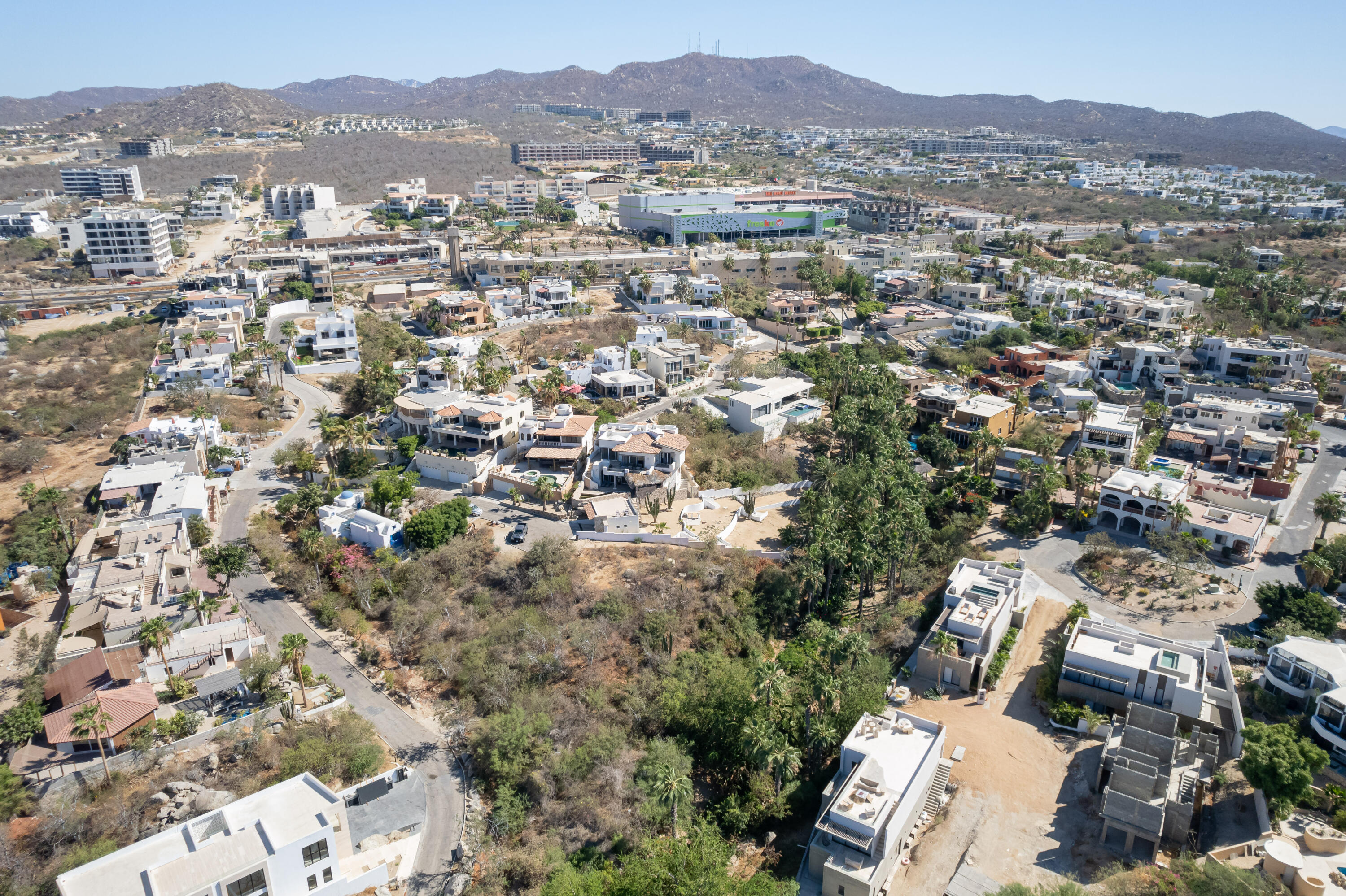 MLS #25-445 image #7