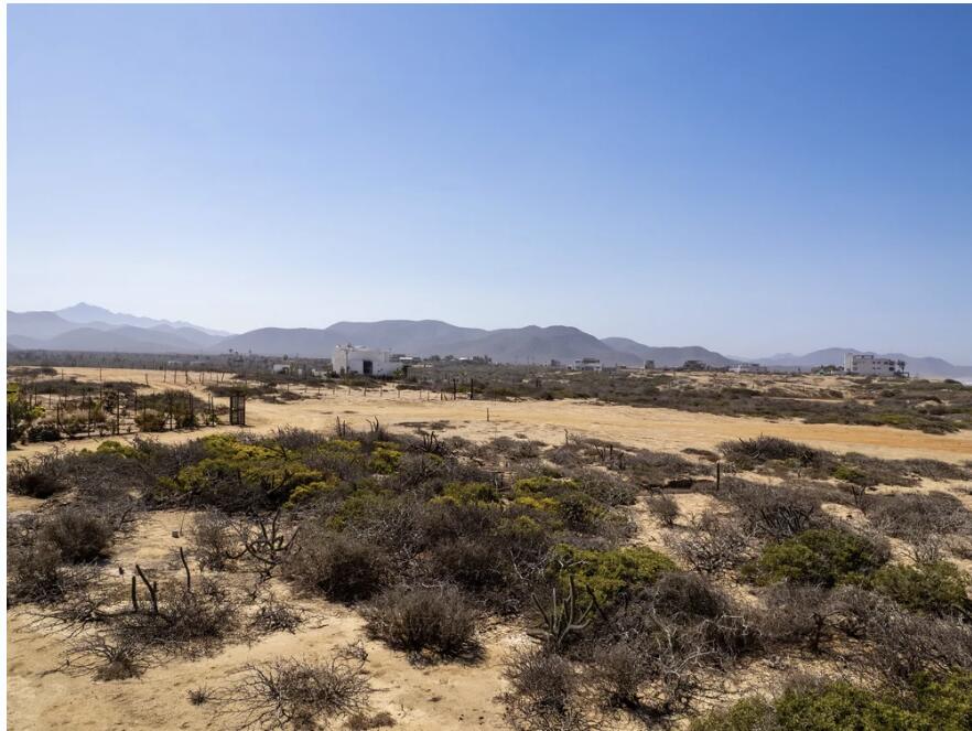 MLS #25-4518 image #4