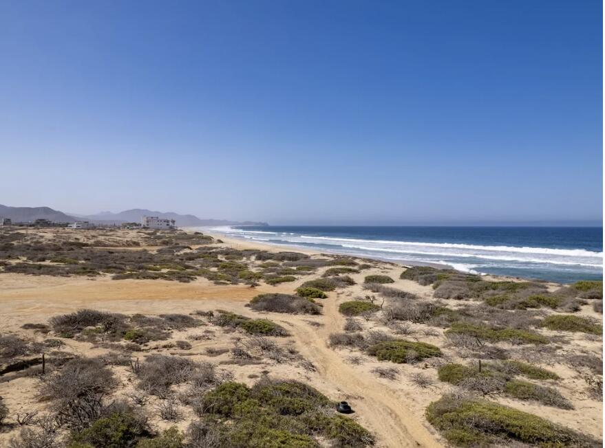 MLS #25-4518 image #5