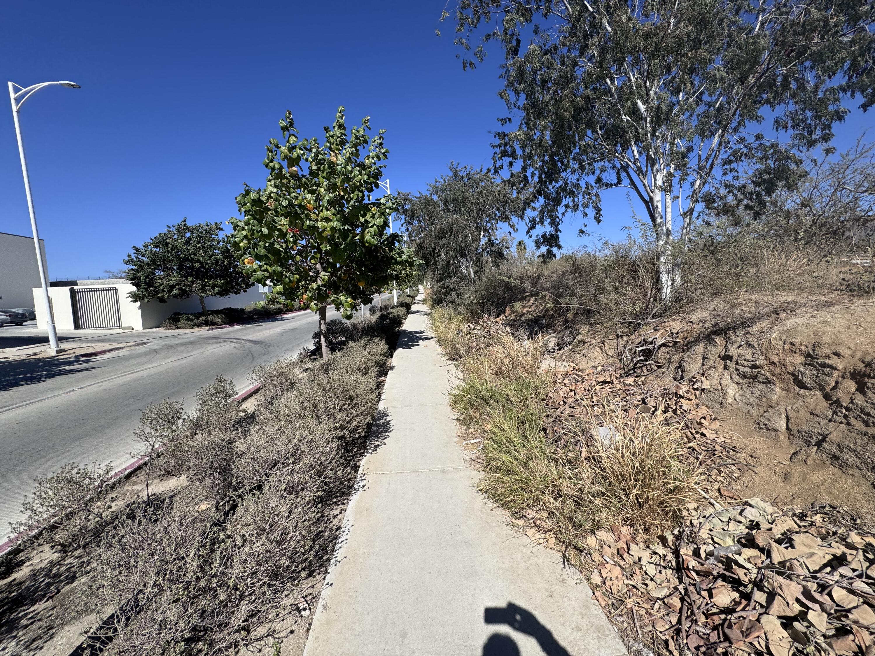 MLS #25-456 image #0