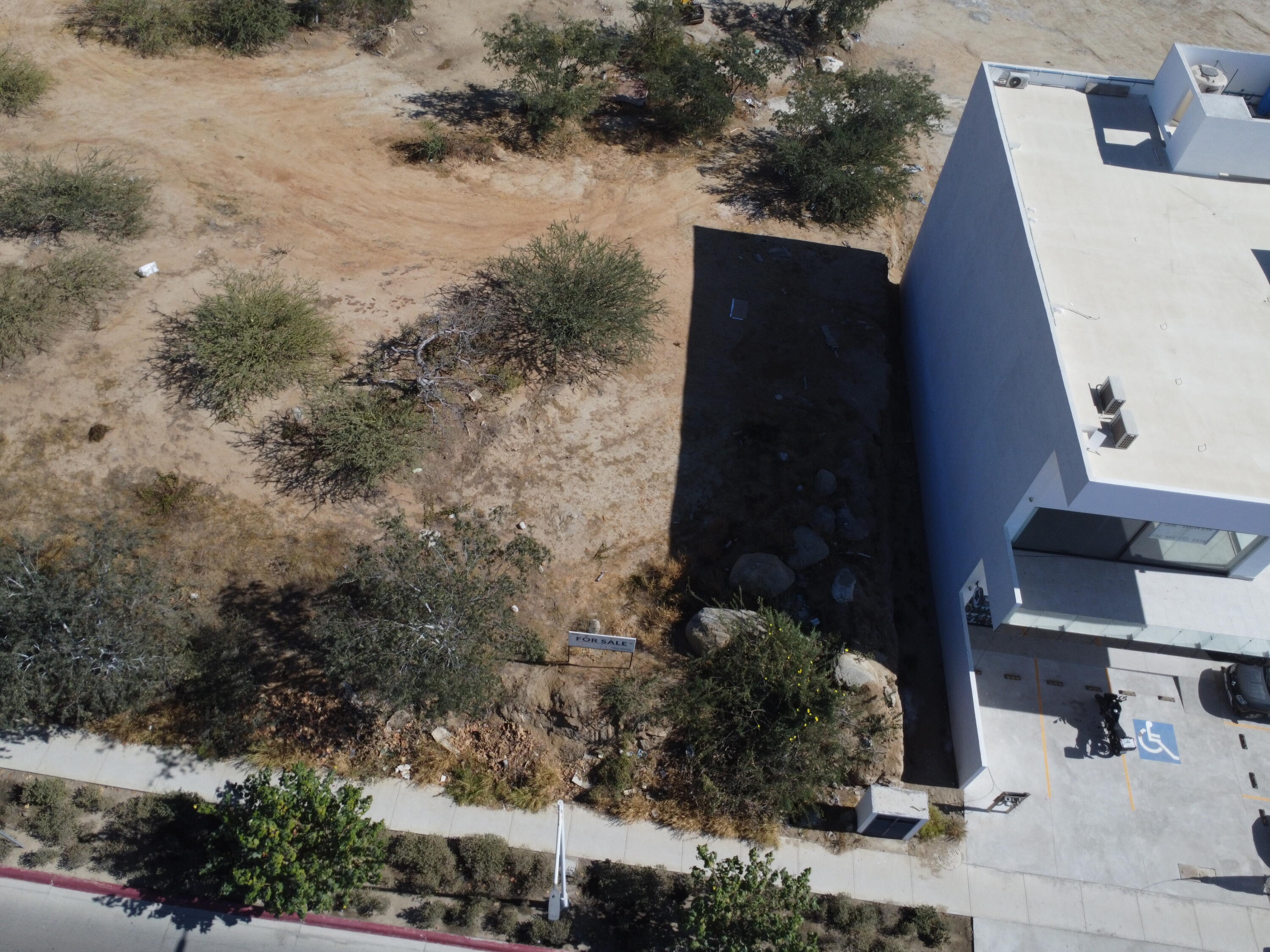 MLS #25-456 image #10