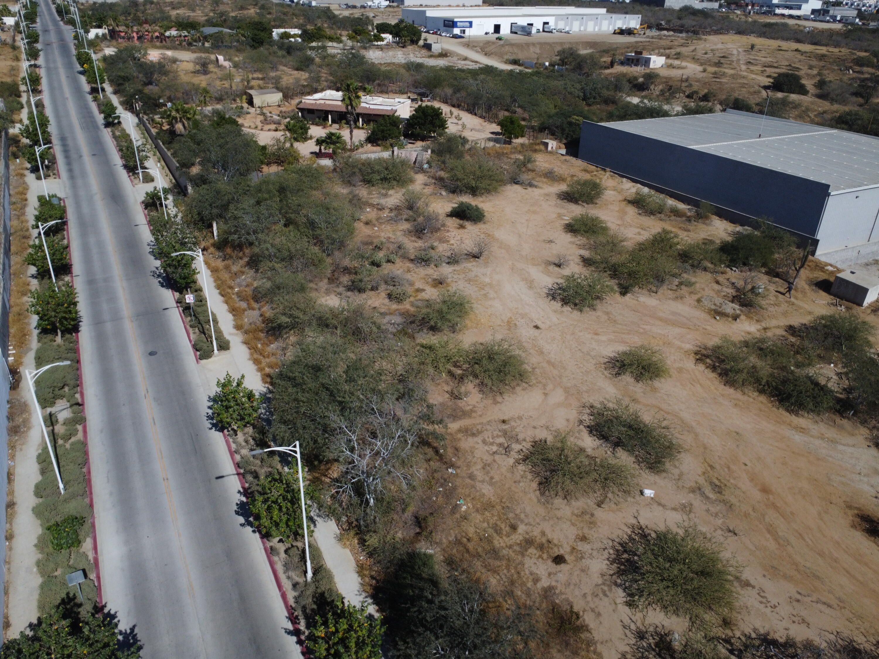 MLS #25-456 image #4