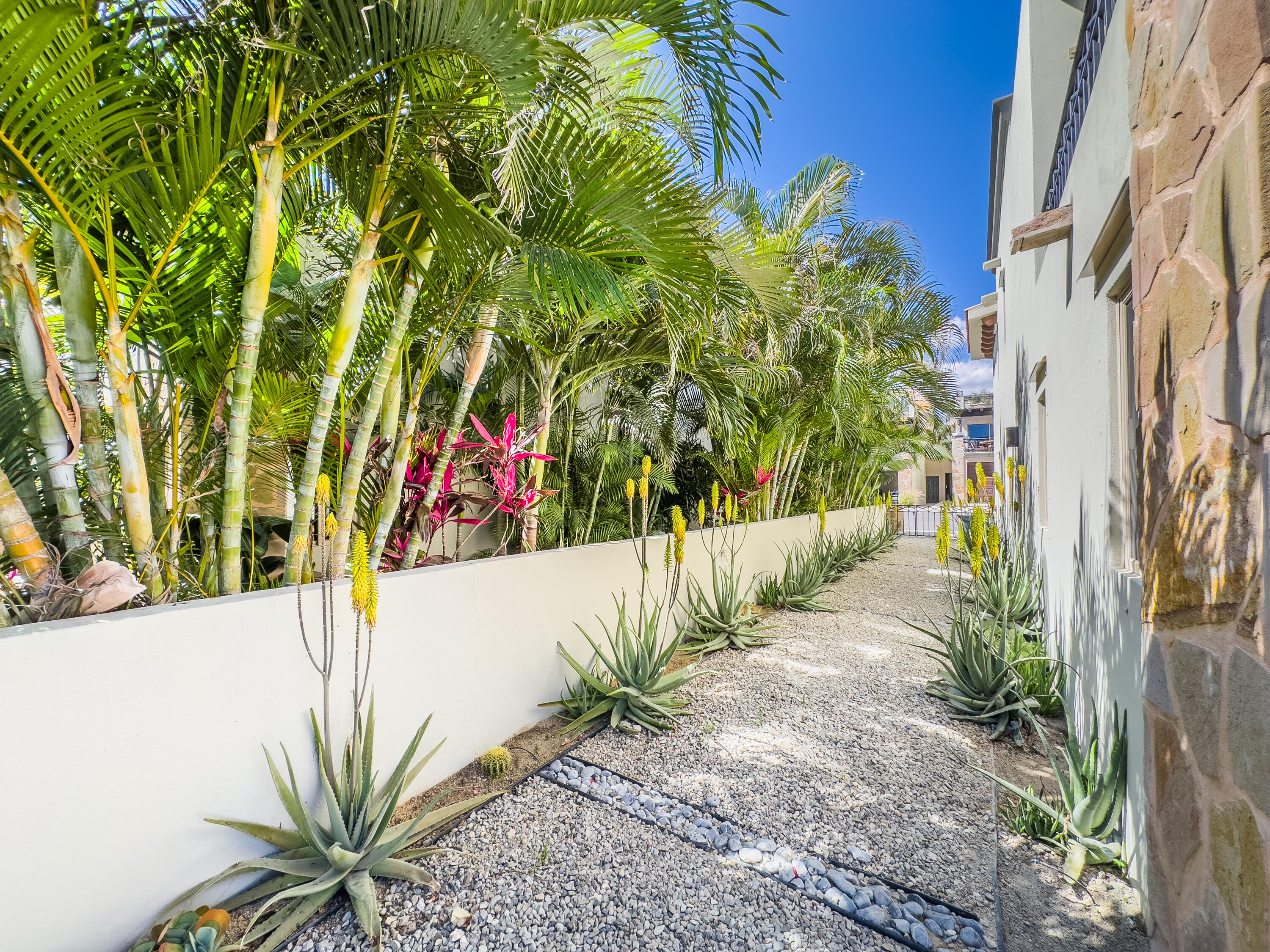 MLS #25-465 image #21