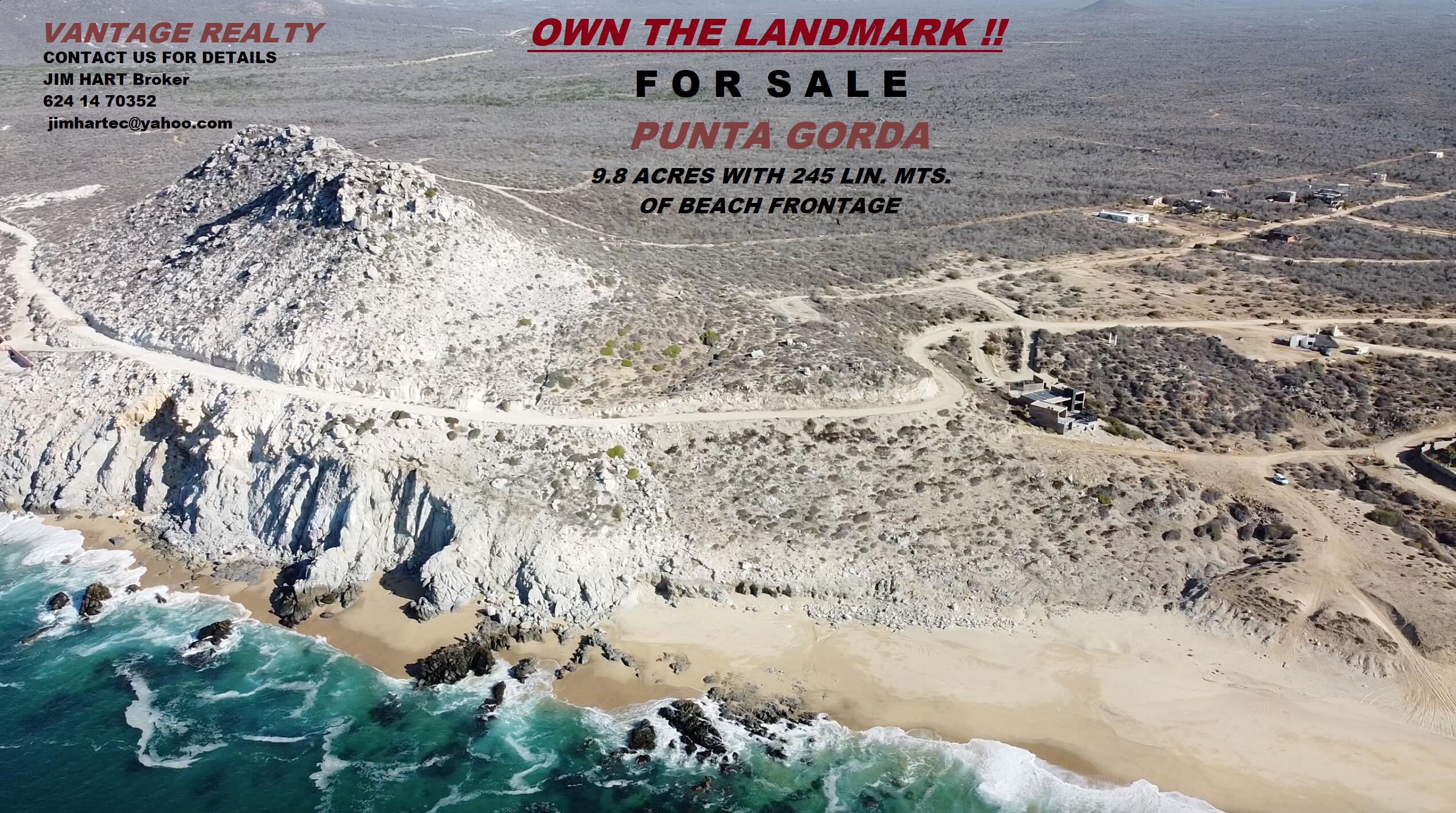 MLS #25-4696 image #1