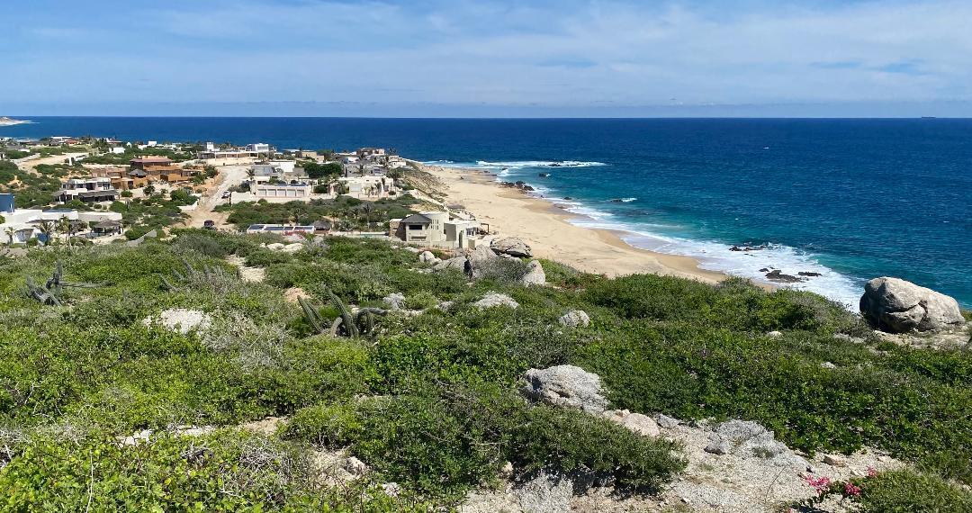 MLS #25-4696 image #12