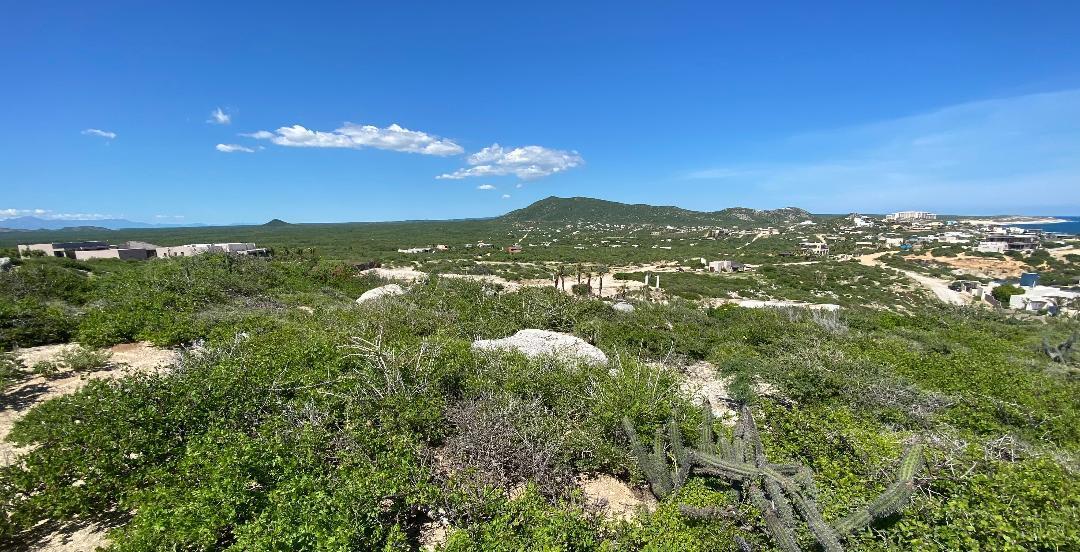 MLS #25-4696 image #14